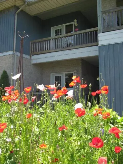 Balcony/Terrace, Property Building in Highlands Four Season Resort