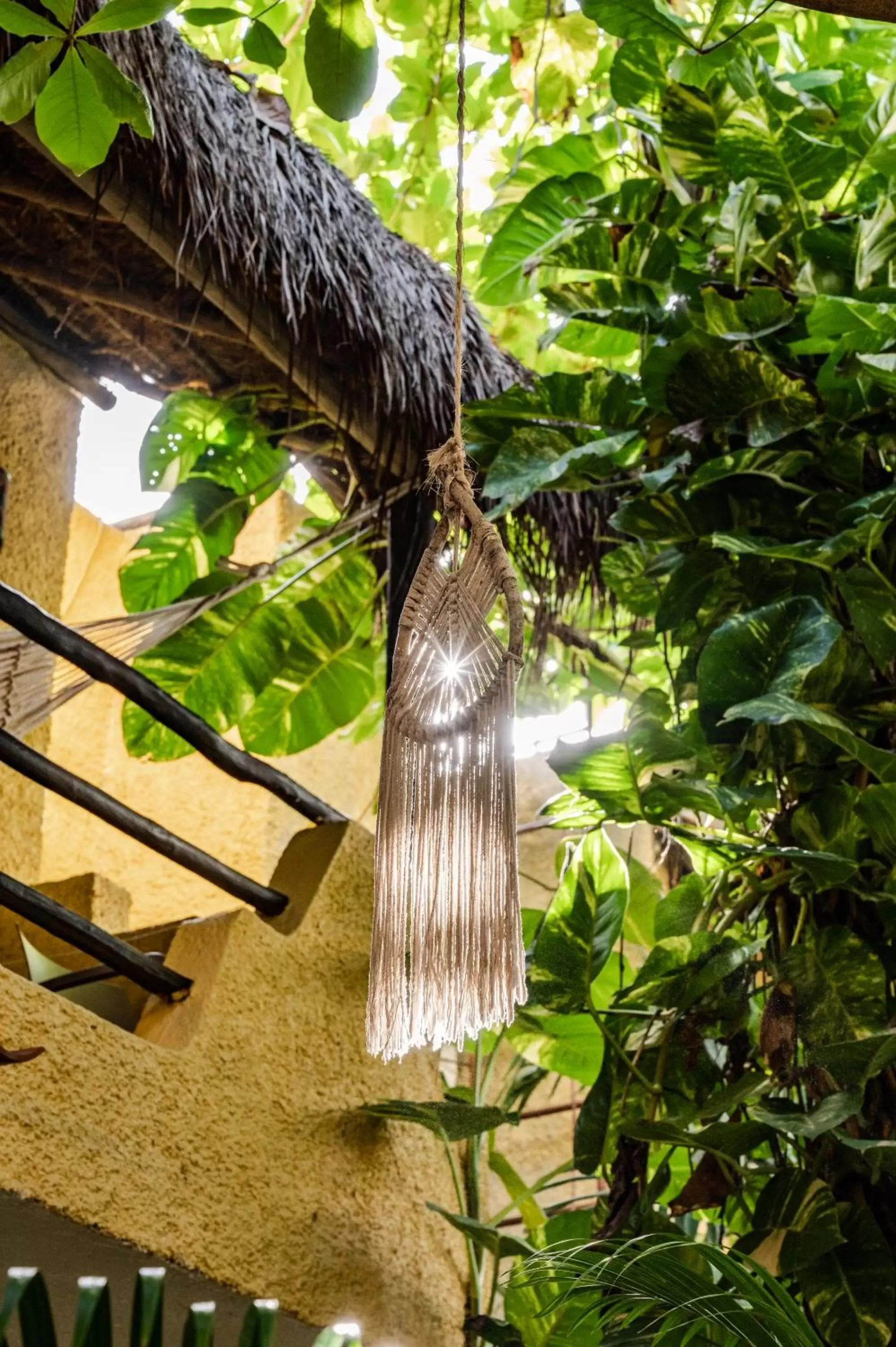 Garden in Hotel Colibri Beach