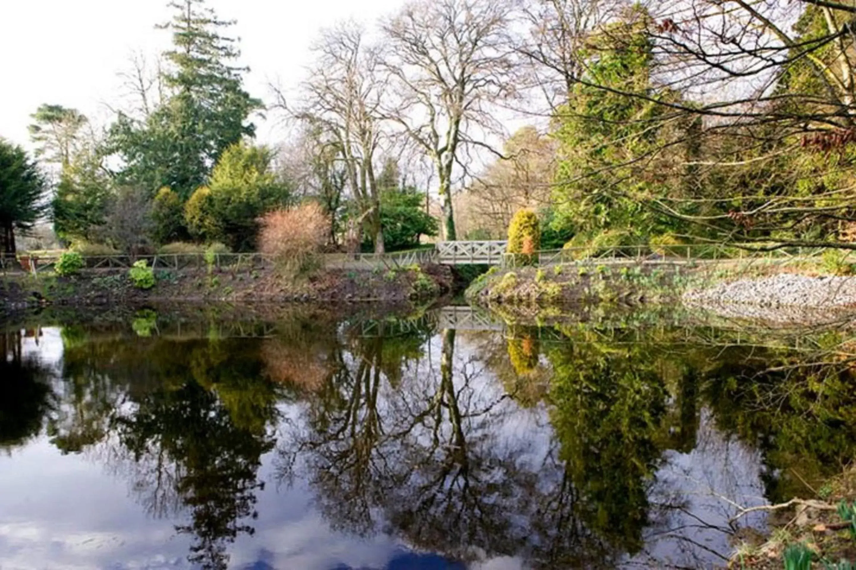 Natural landscape in Breaffy House Hotel and Spa