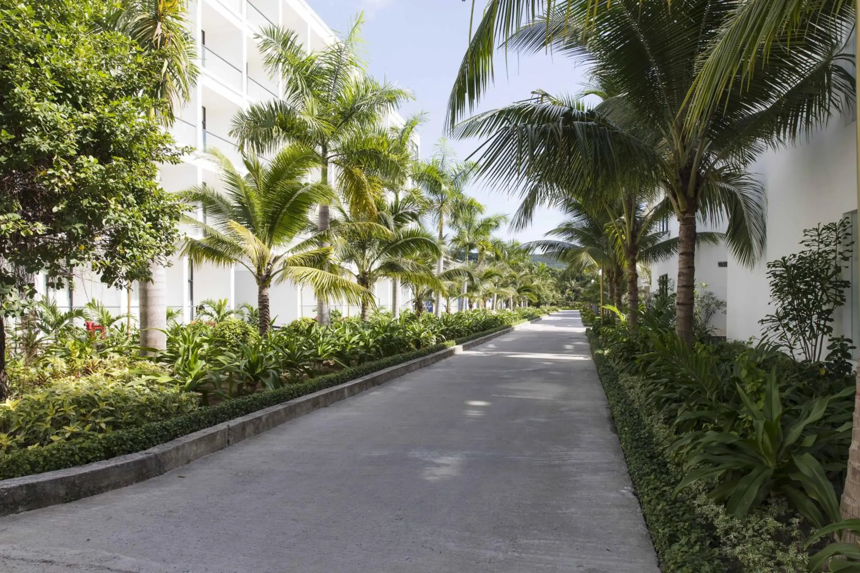 Garden, Property Building in Diamond Bay Condotel Resort Nha Trang