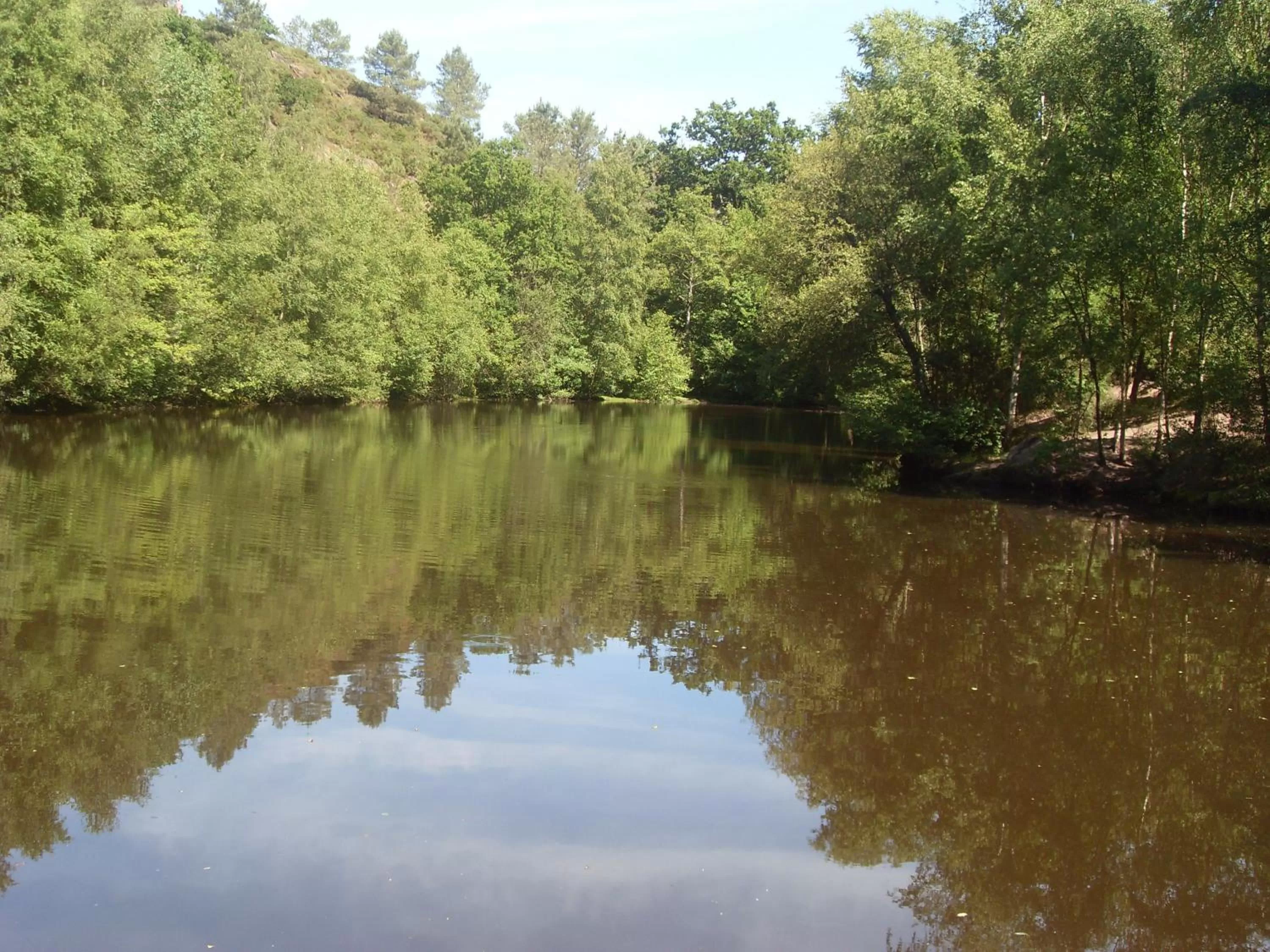 Nearby landmark, Lake View in Chambre d'hôtes Les Bruyères