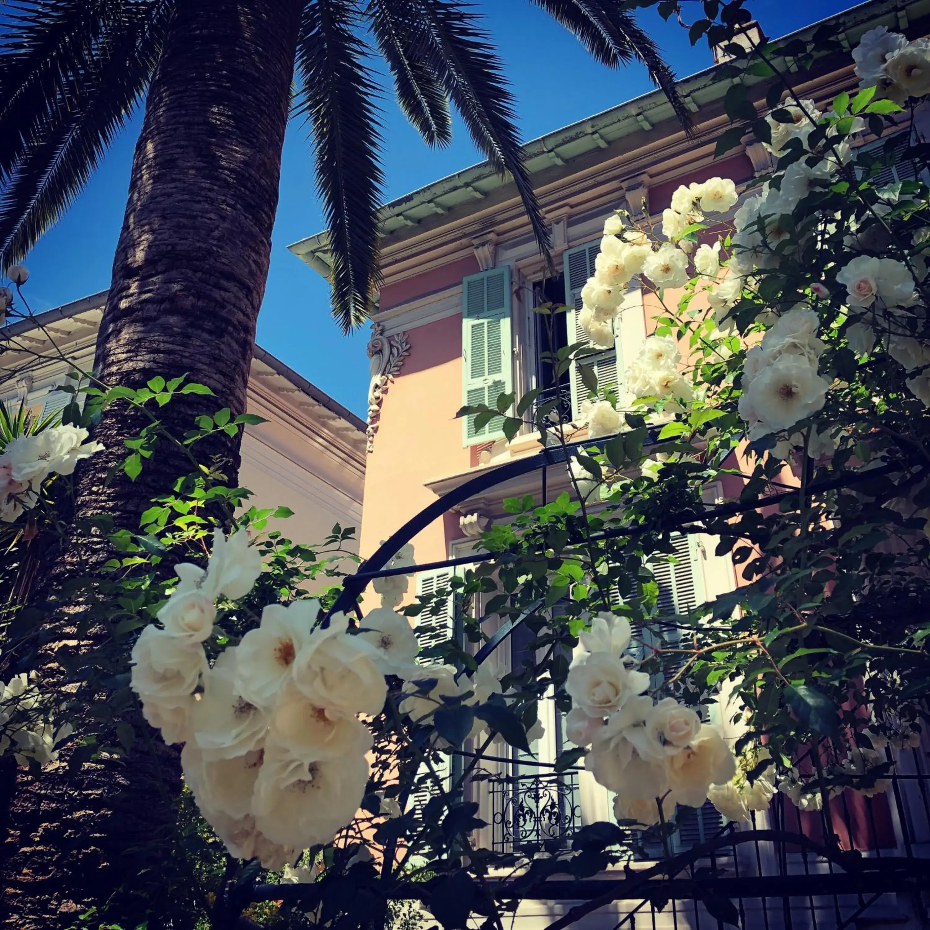 Patio, Property Building in Hotel Villa Rose