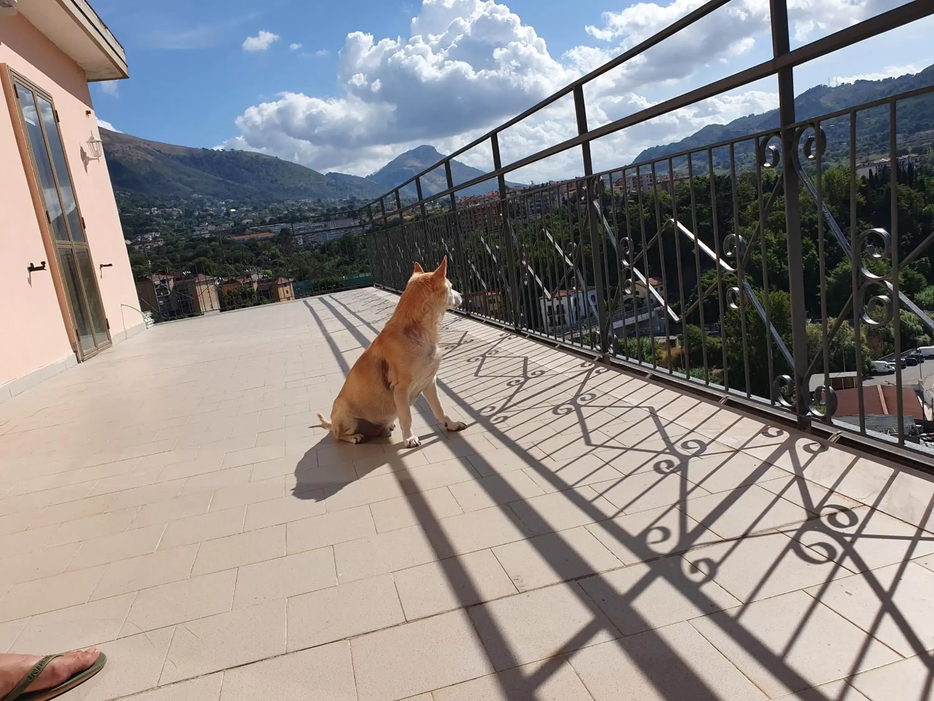 Balcony/Terrace, Other Animals in B&B IRNUM