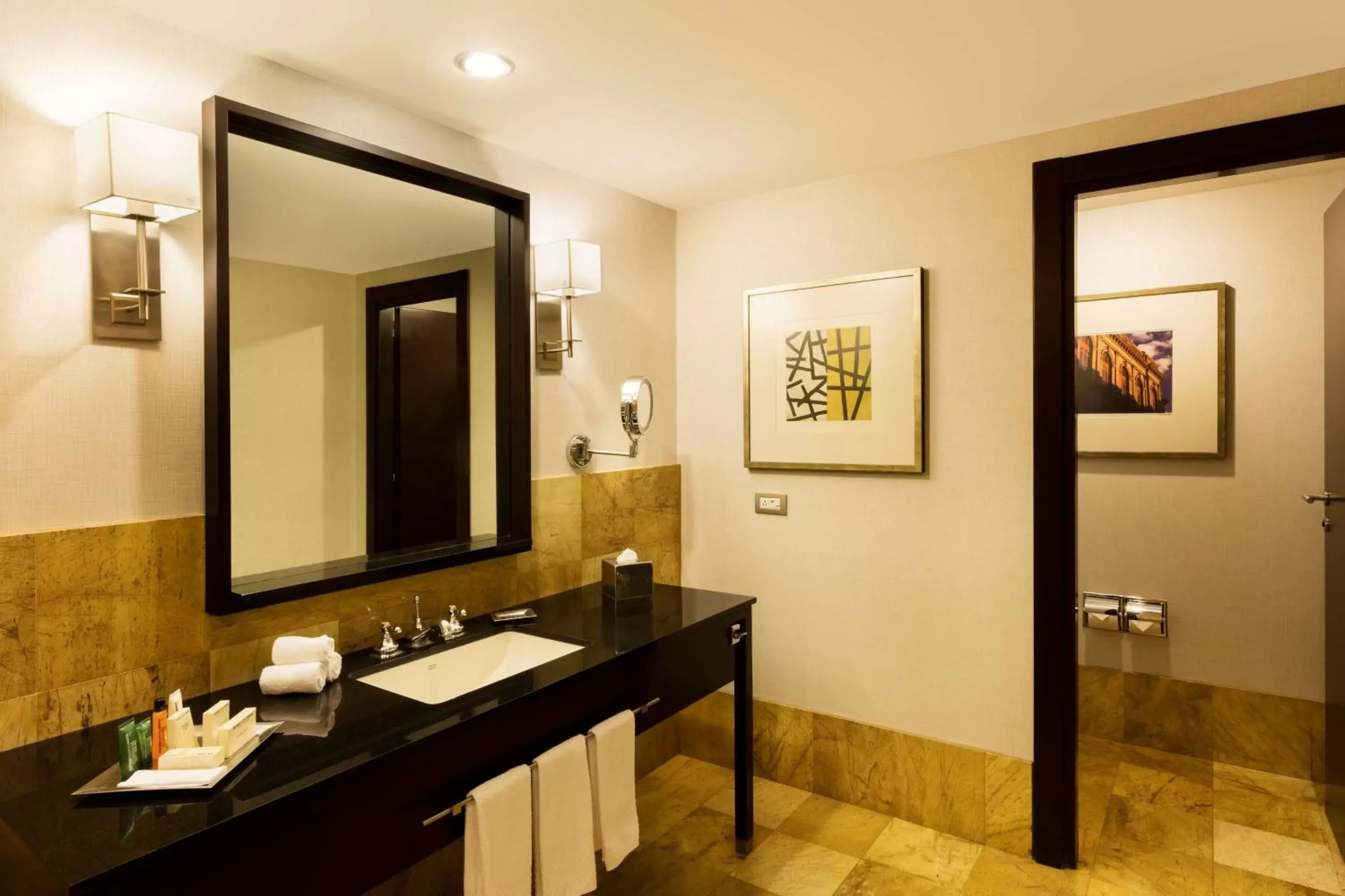 Photo of the whole room, Bathroom in Hilton Mexico City Reforma