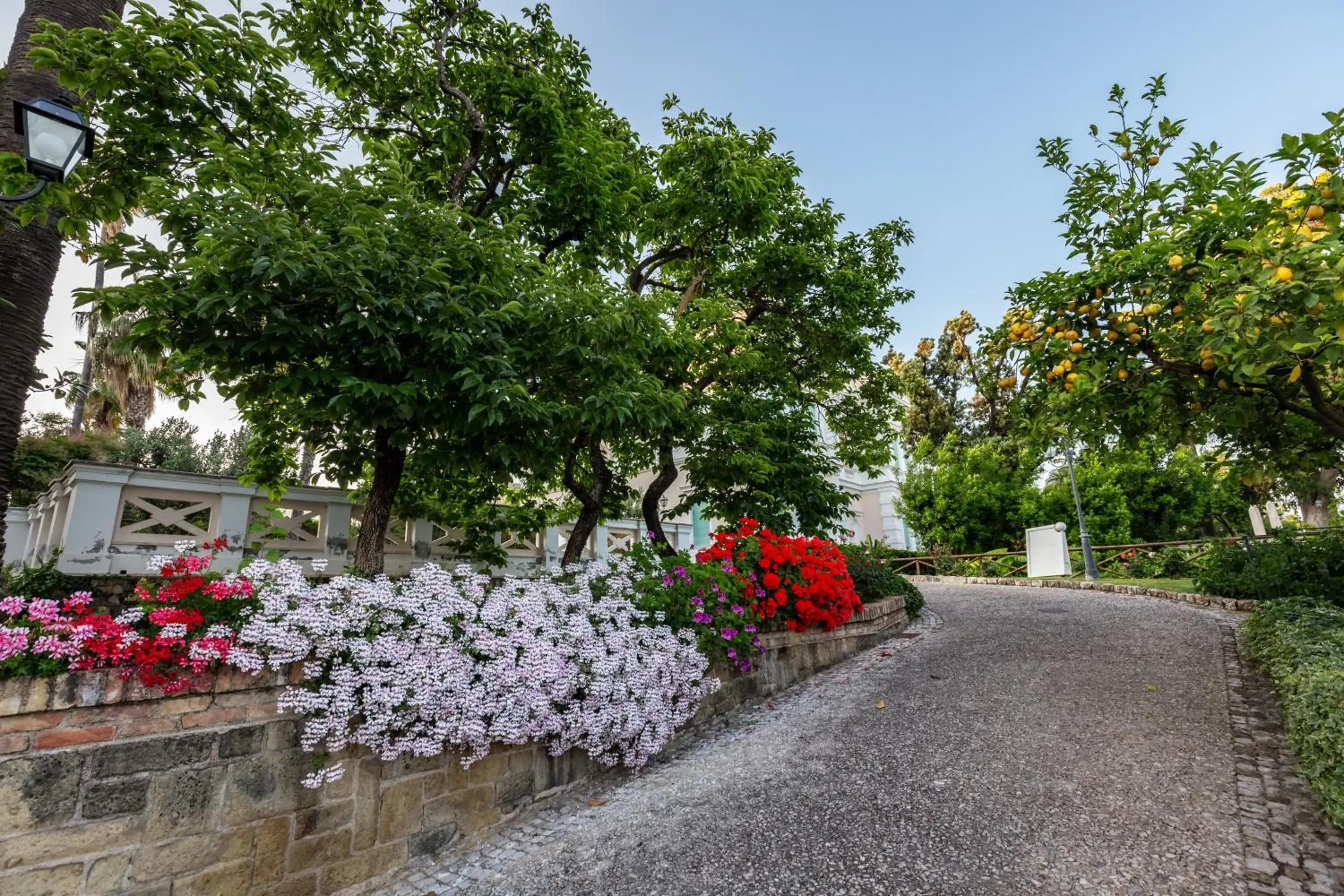 Garden in Villa Irlanda Grand Hotel