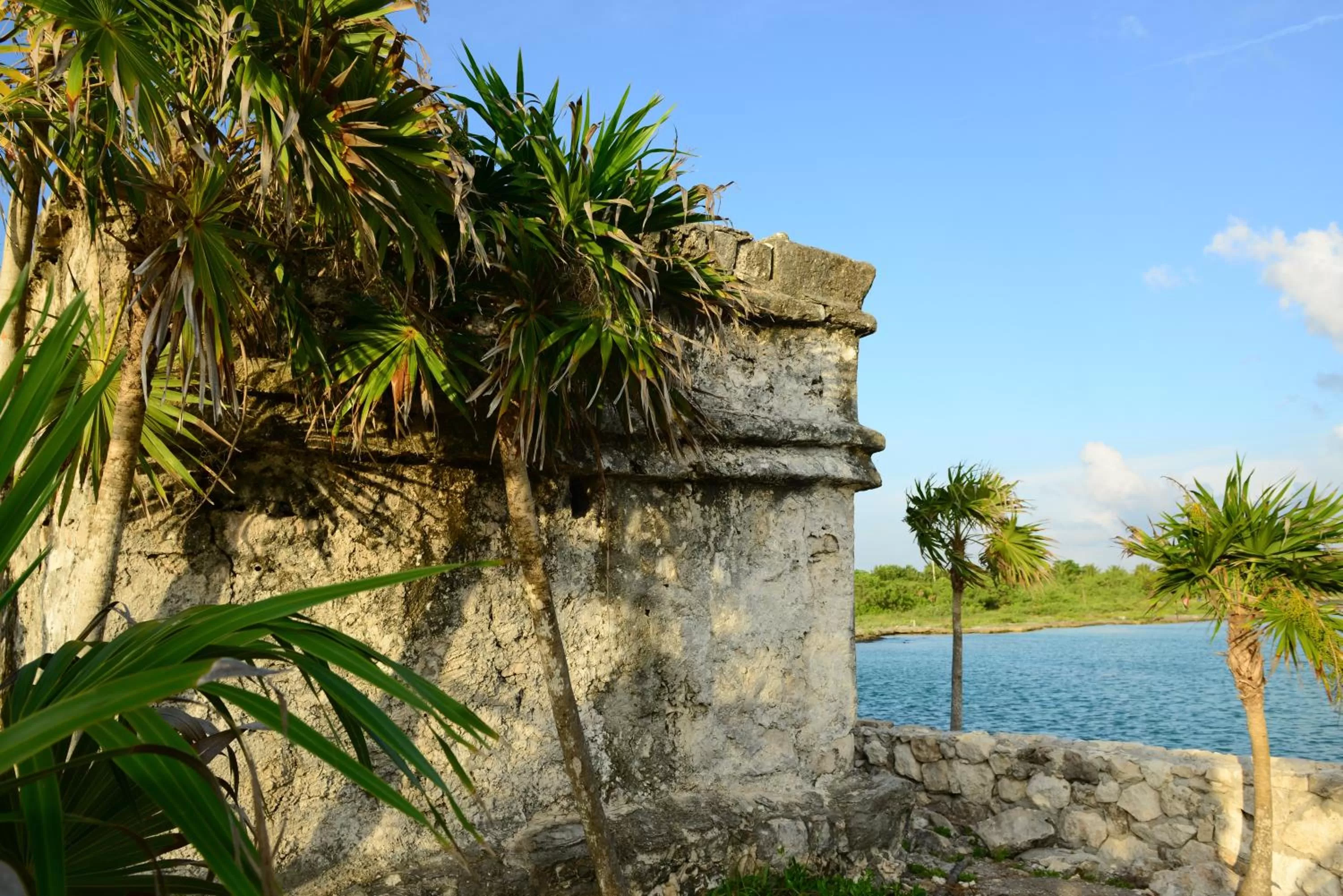 Other in B&B Mom's House