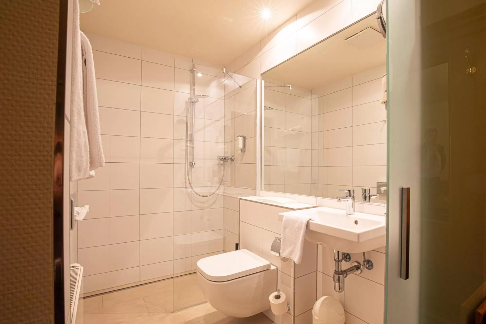 Shower in Hotel Restaurant Grüner Baum und Altes Tor