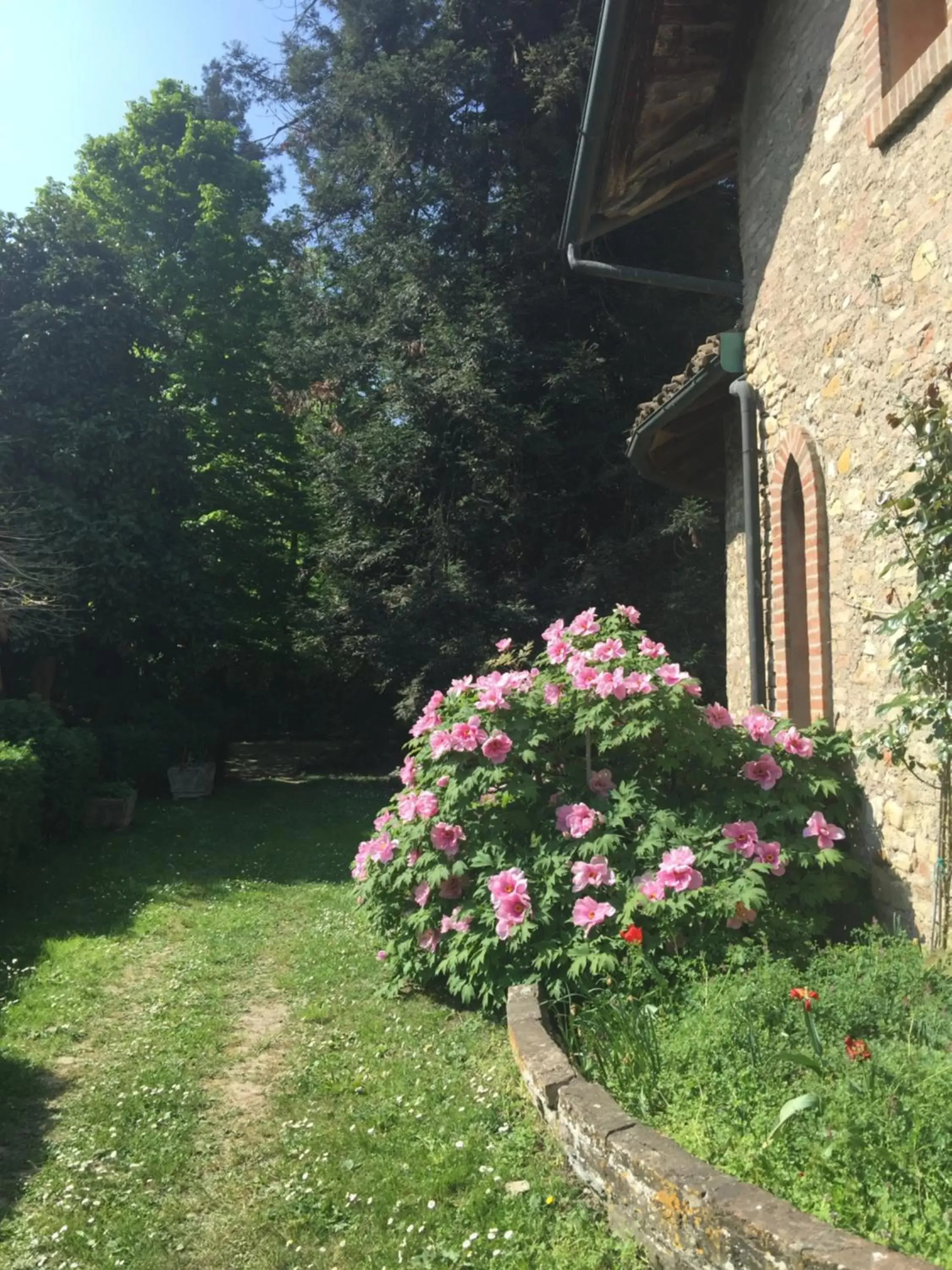 Property building, Garden in Le dimore de Il borgo del balsamico