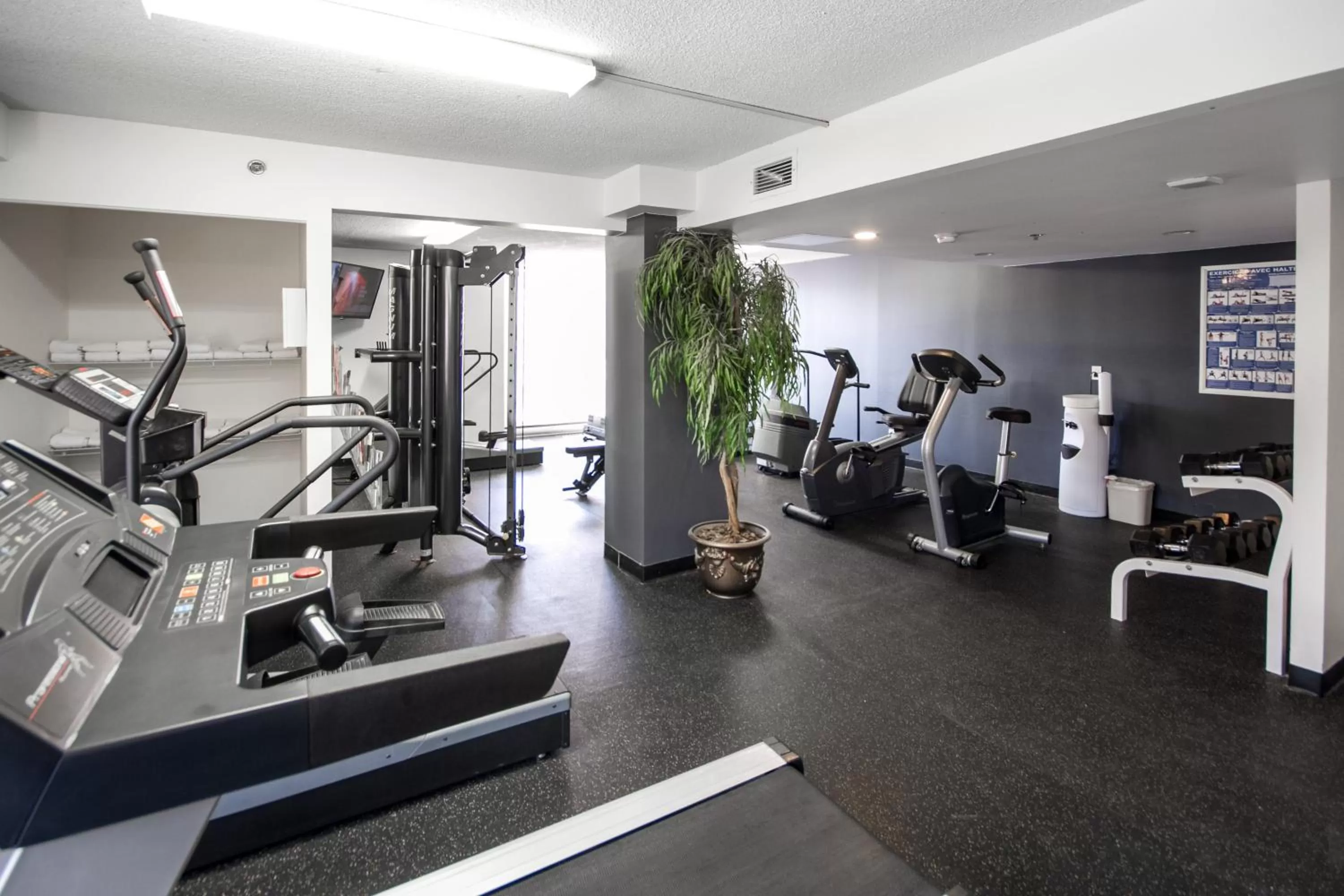 Fitness centre/facilities in Hotel Faubourg Montreal Centre-Ville Downtown