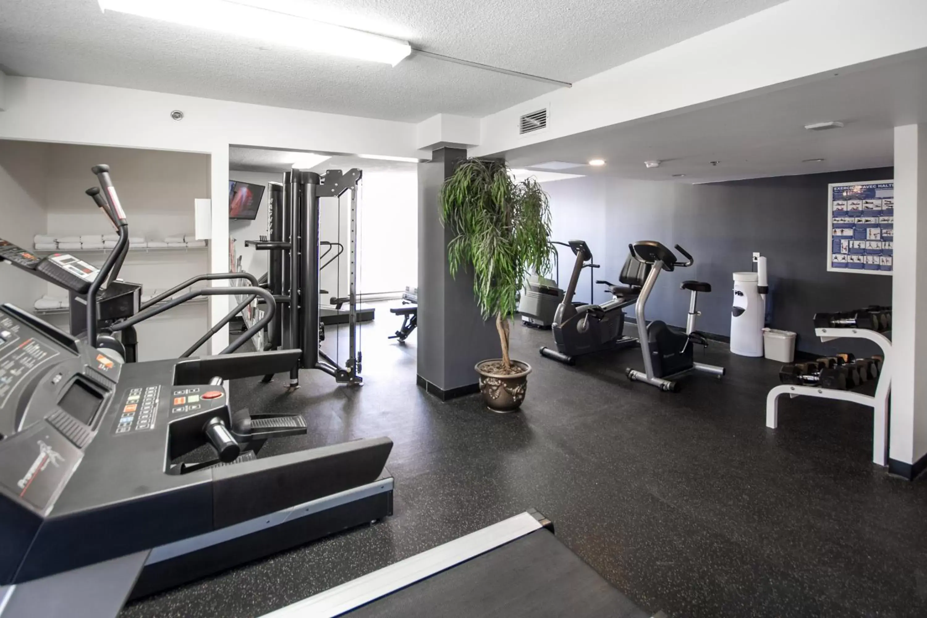 Fitness centre/facilities, Fitness Center/Facilities in Hotel Faubourg Montreal Centre-Ville Downtown