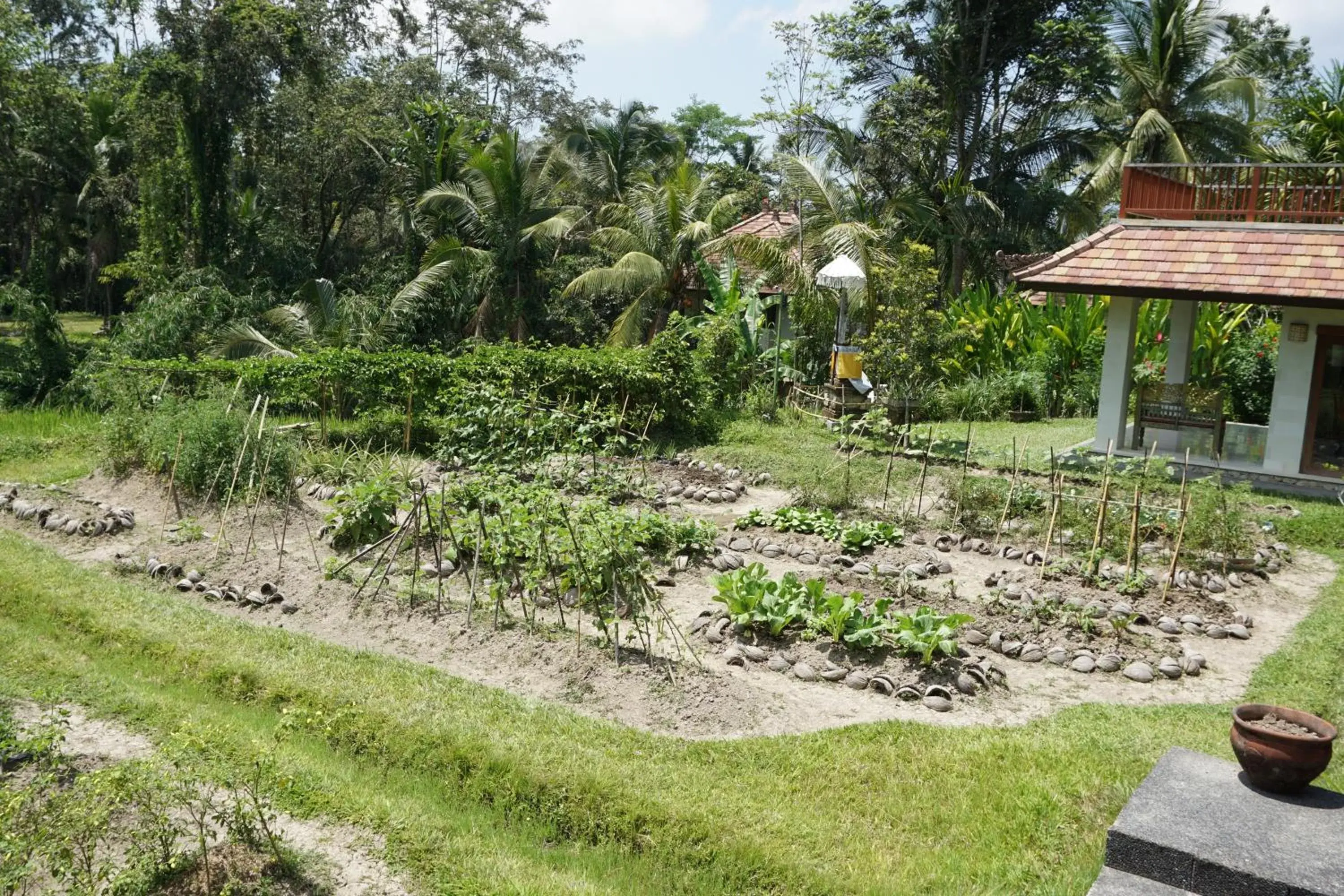Natural landscape, Garden in BeingSattvaa Luxury Ubud - CHSE Certified