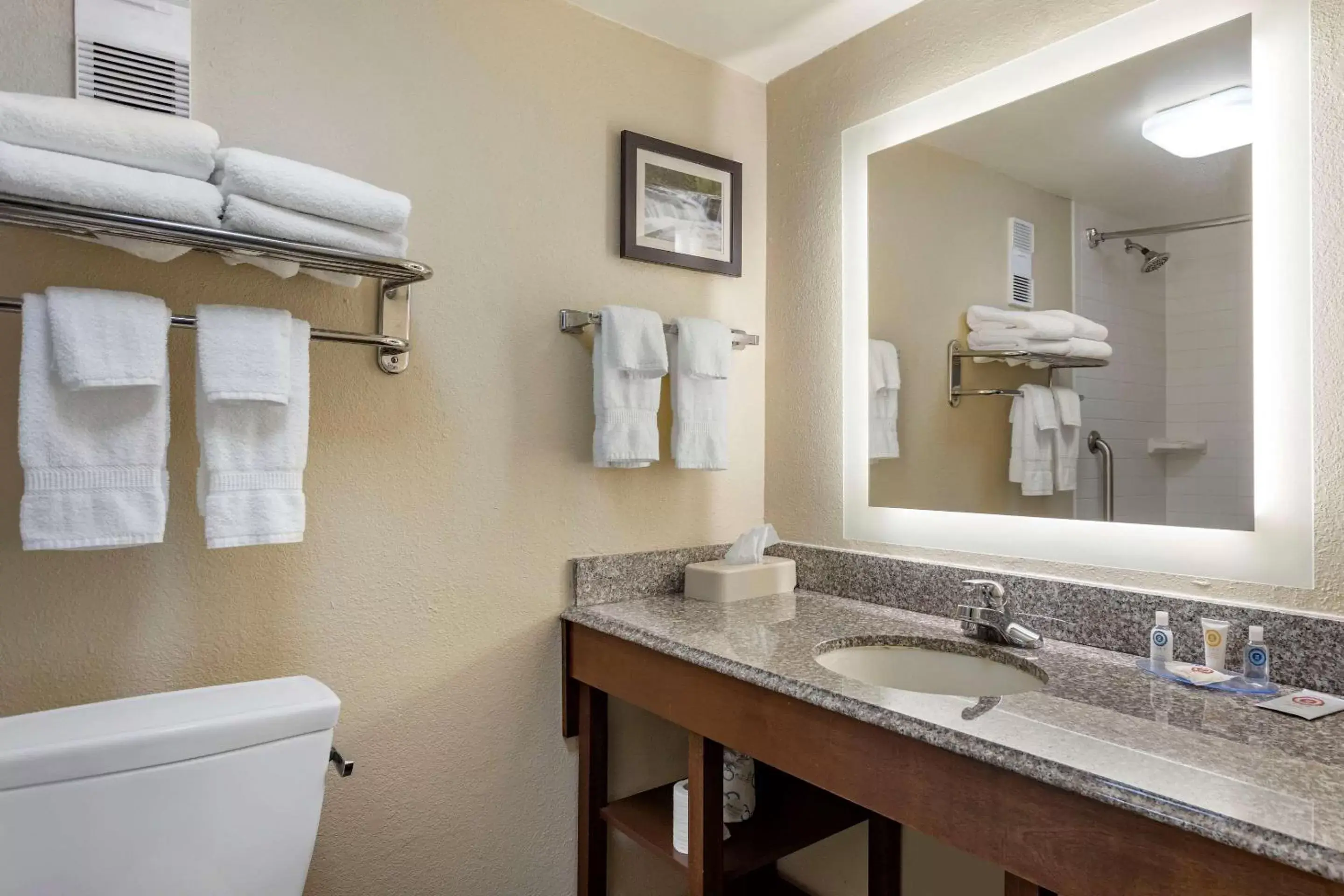 Bathroom in Comfort Inn & Suites Little Rock Airport