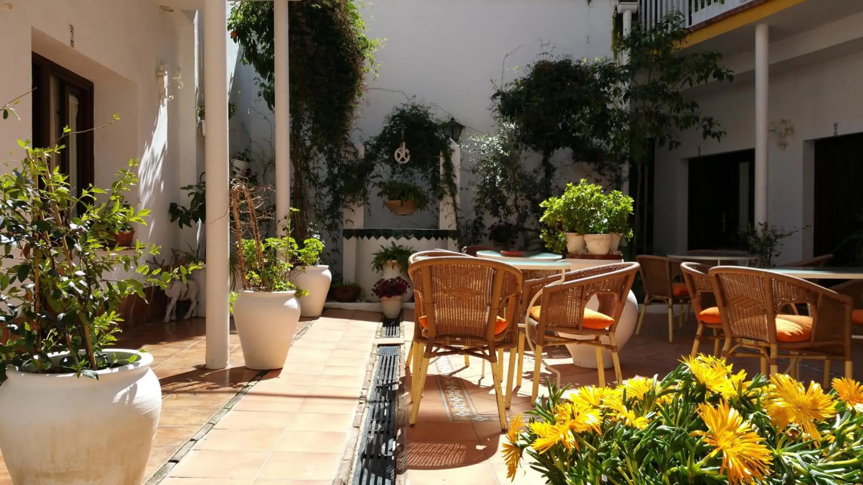 Patio, Restaurant/Places to Eat in Casa de los Naranjos