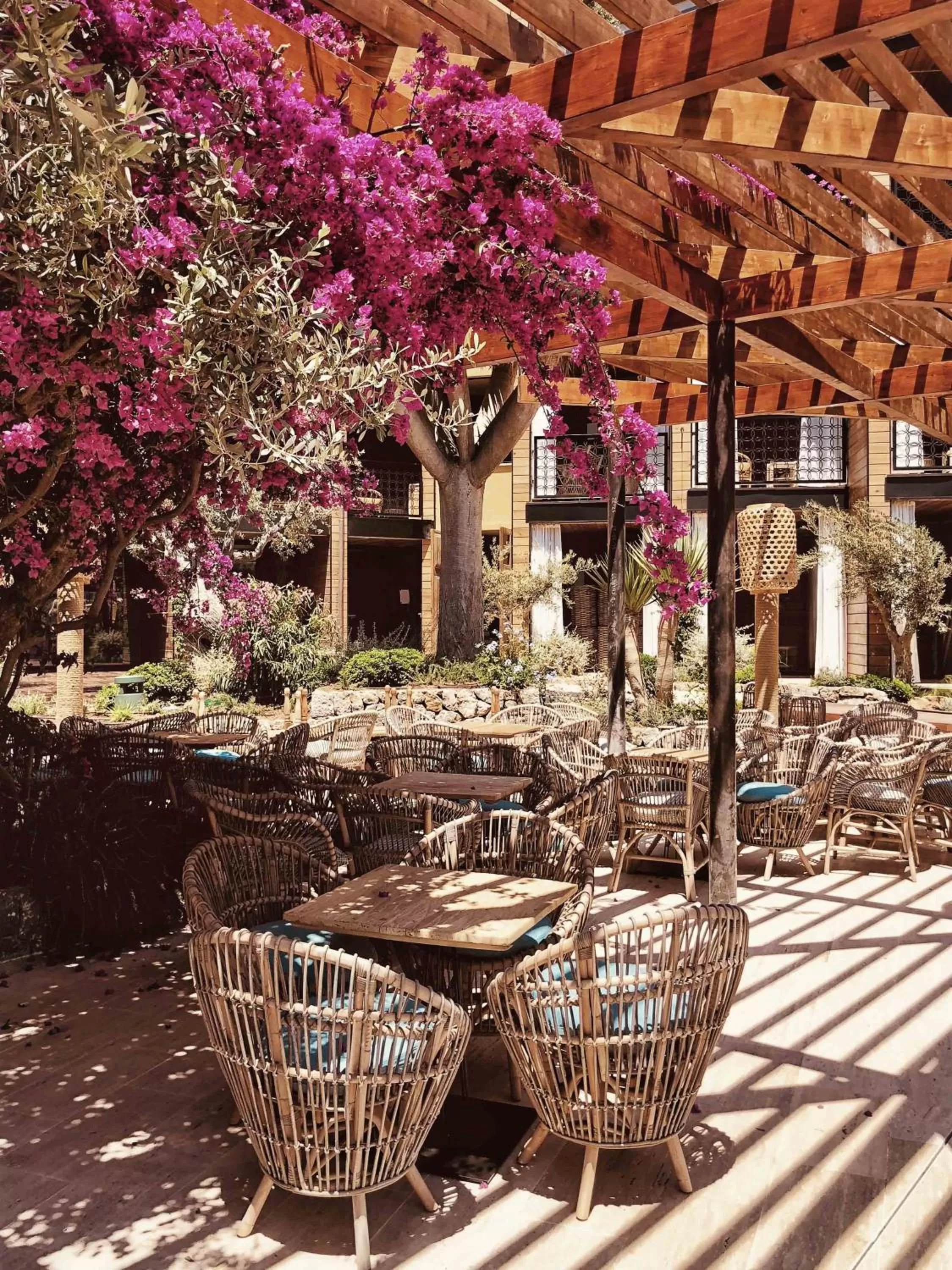 Restaurant/places to eat in Bikini Island & Mountain Port de Soller "Adults only"