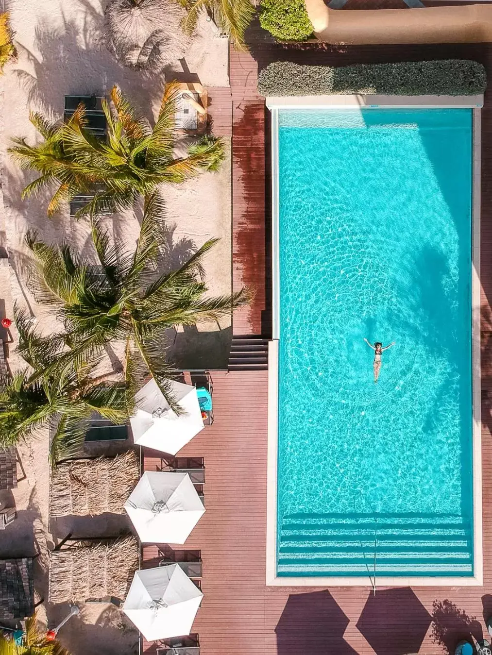 Swimming pool, Pool View in Curacao Avila Beach Hotel