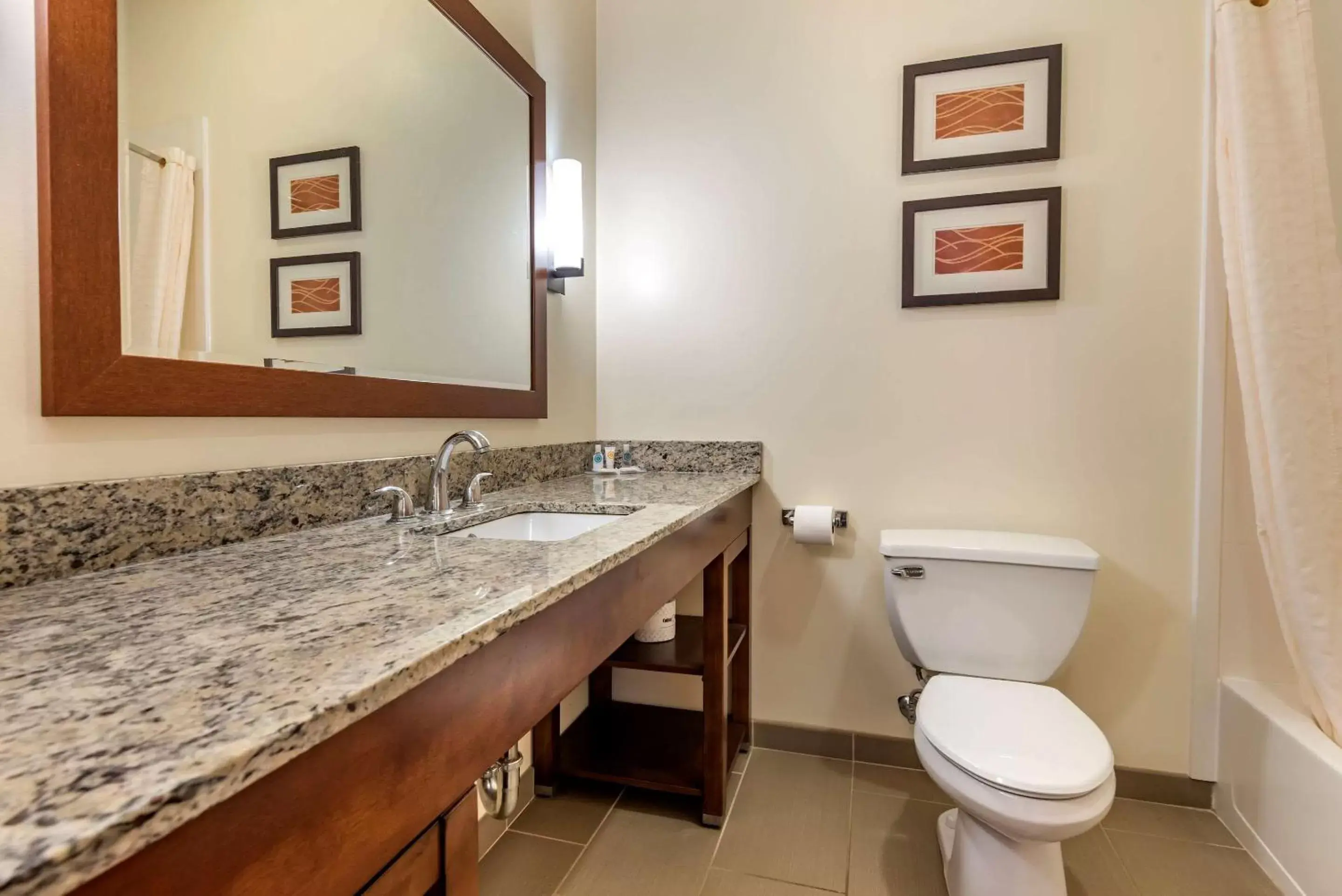 Bathroom in Comfort Inn Apalachin - Binghamton W Route 17