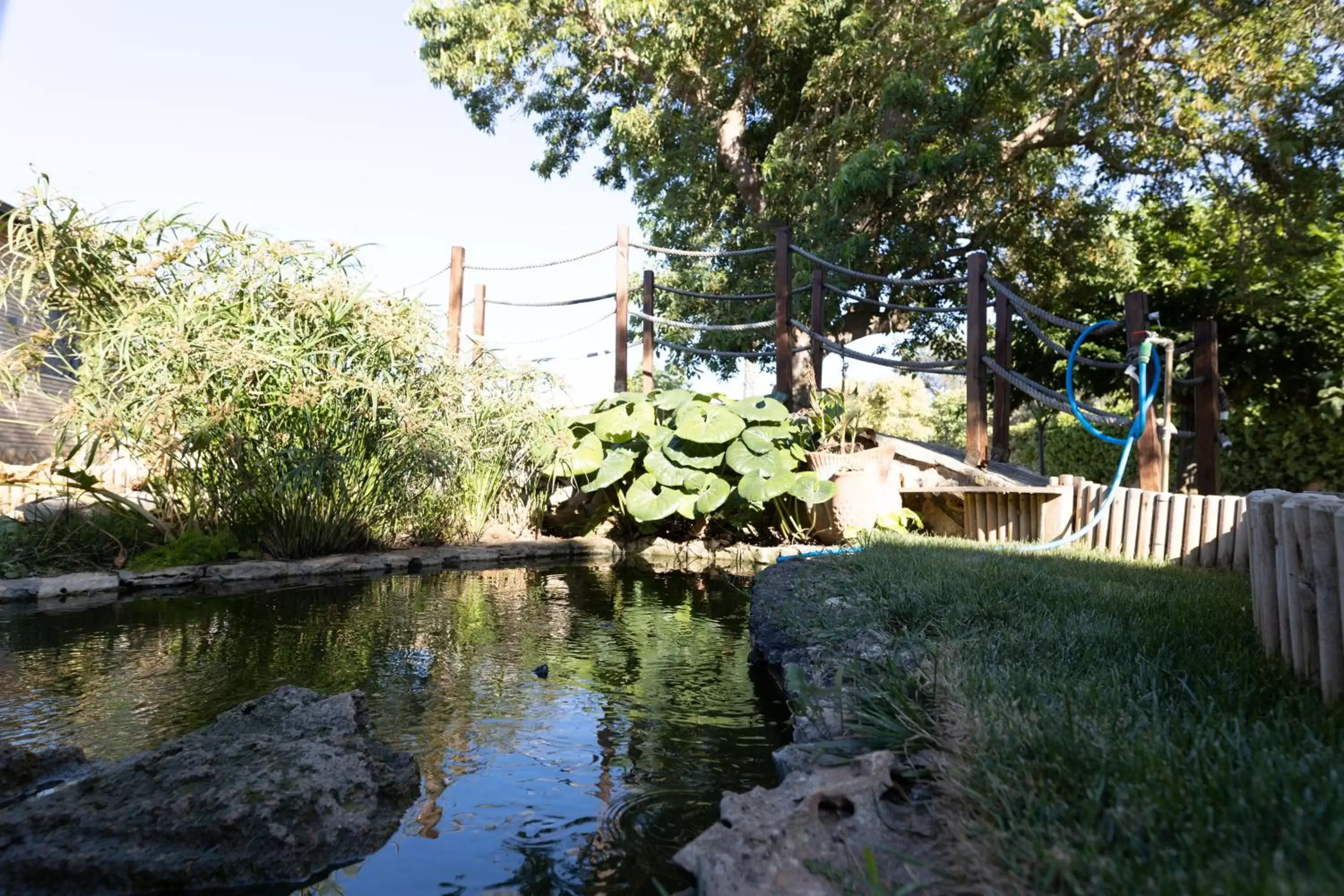 Garden in AgriFamily Village