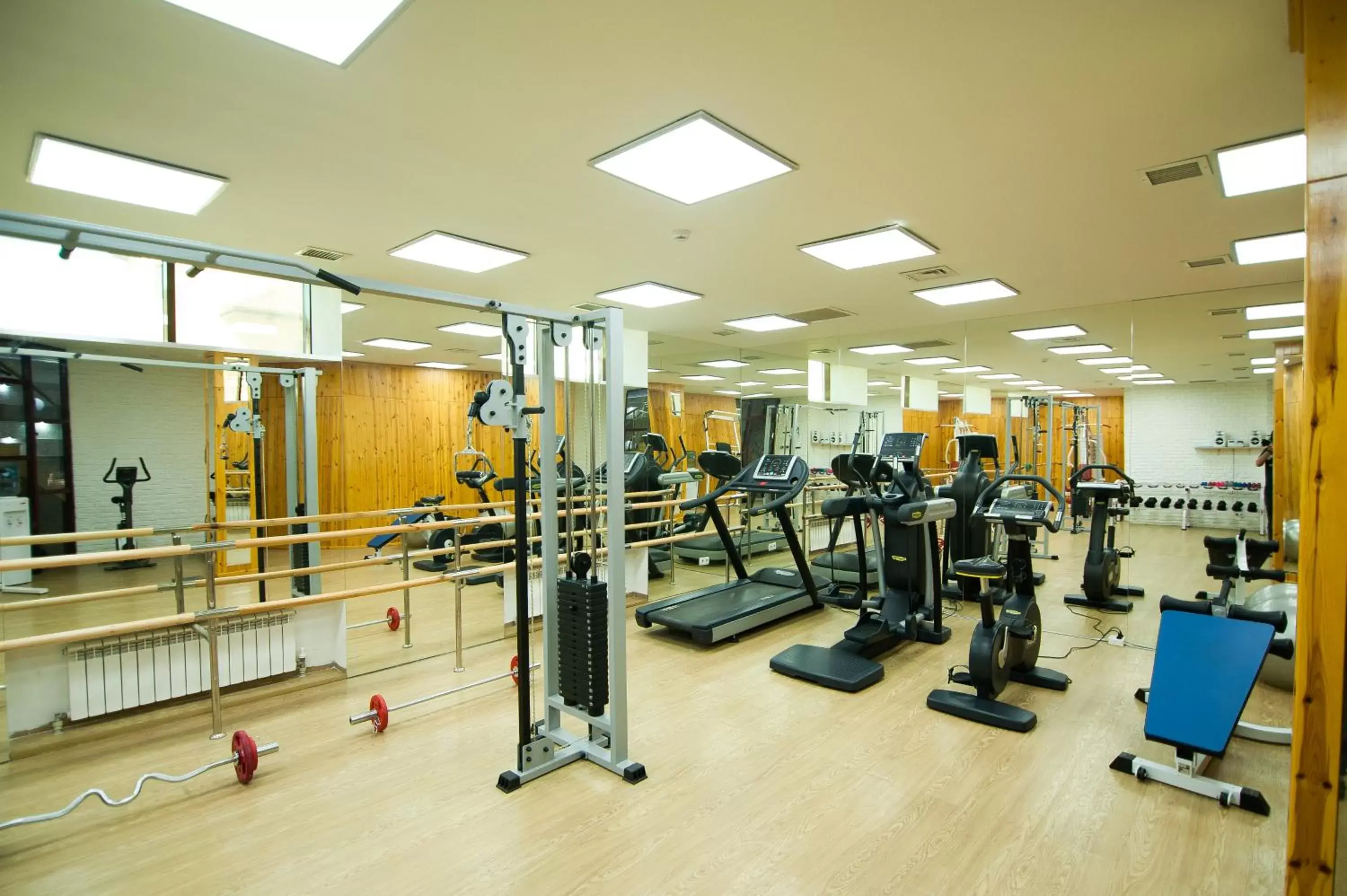Fitness centre/facilities, Fitness Center/Facilities in Kazzhol Hotel Astana