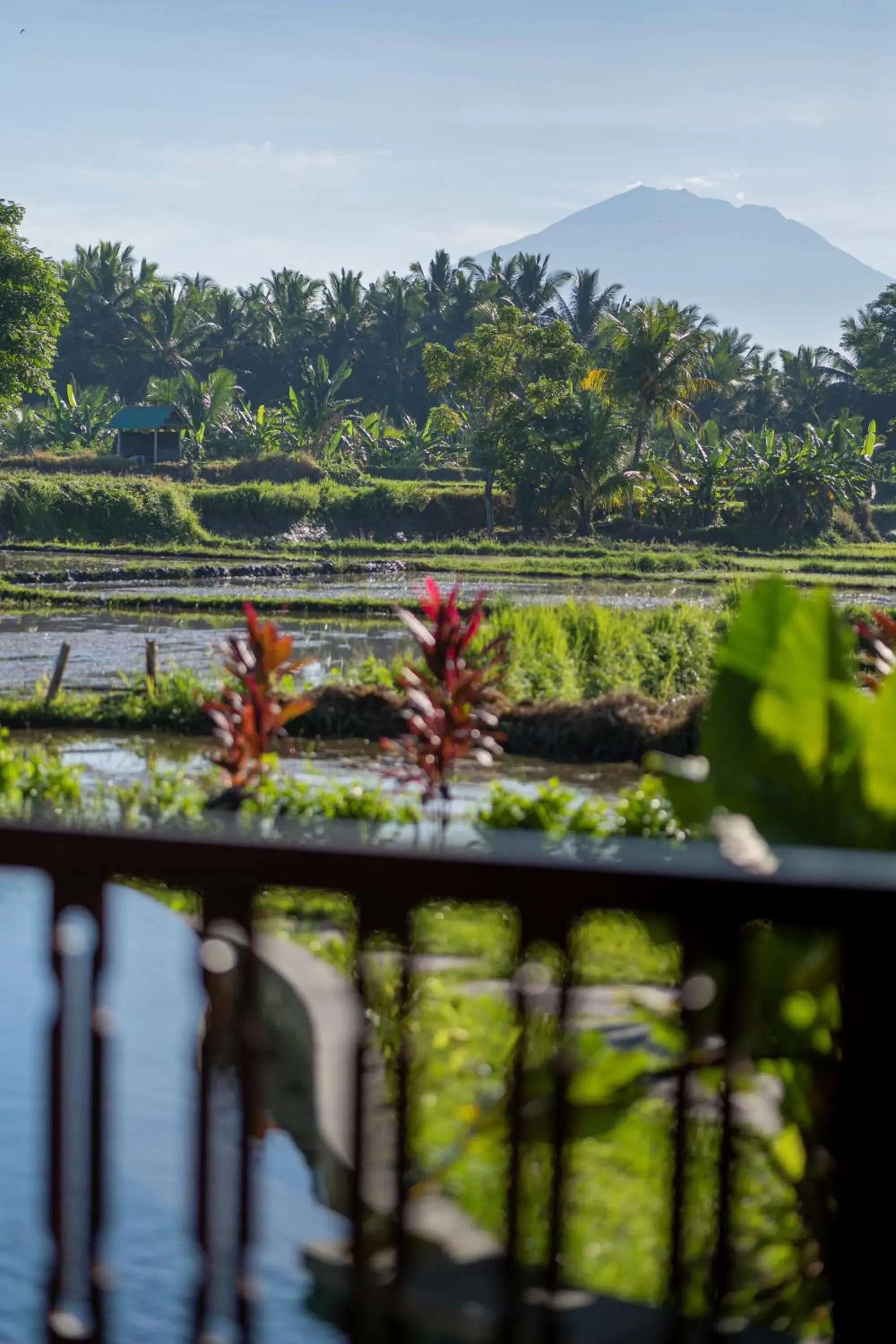 Property building in Beehouse Dijiwa Ubud