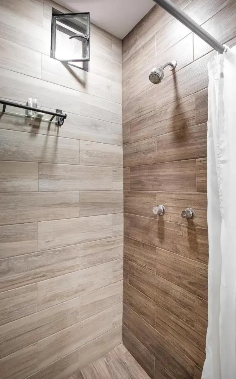 Shower, Bathroom in Hotel El Andariego