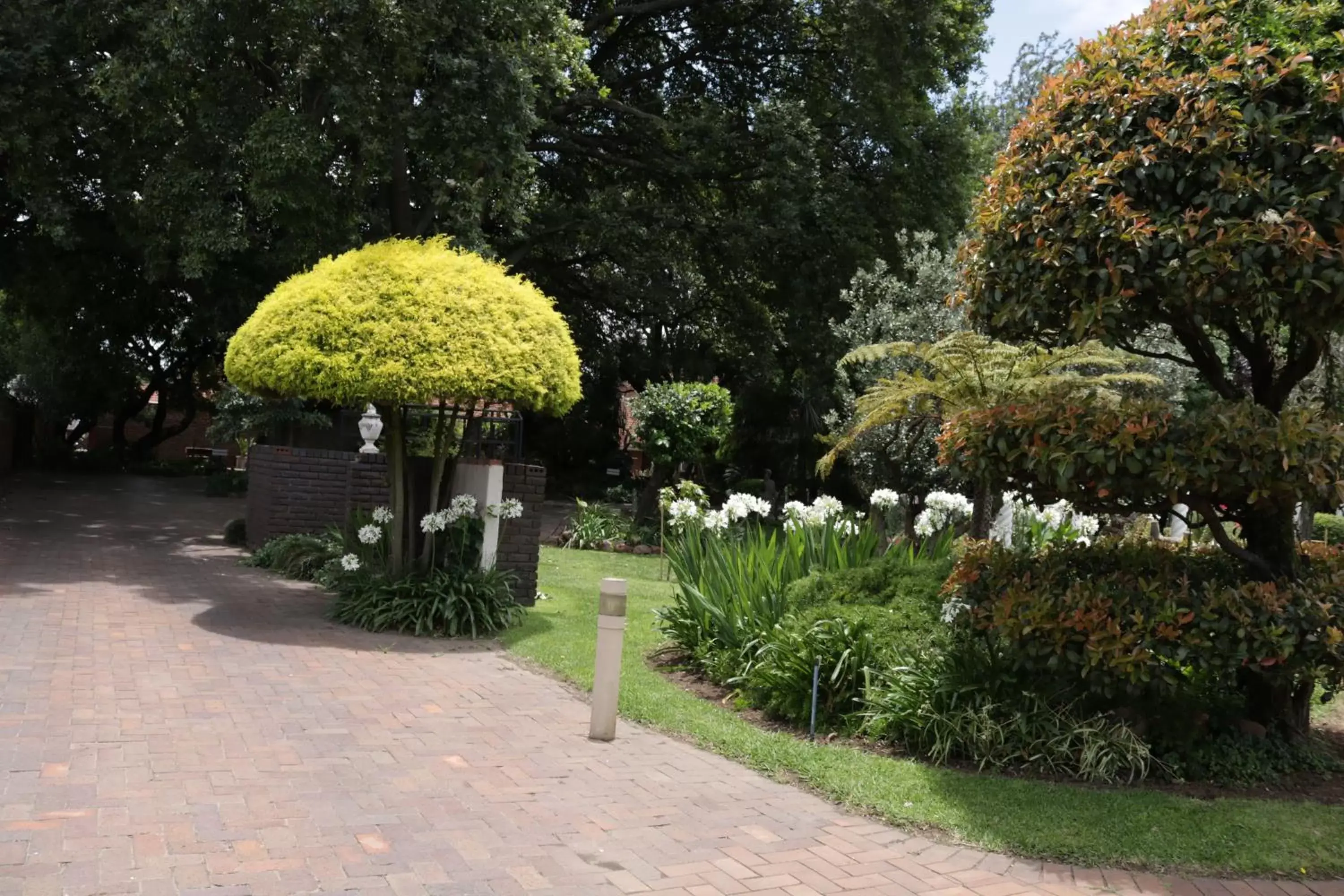 Garden in Airport Gardens Boutique Hotel