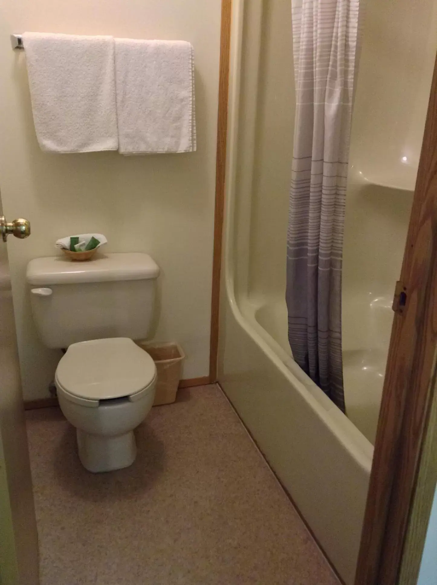 Toilet, Bathroom in The Ranchland Inn Kamloops