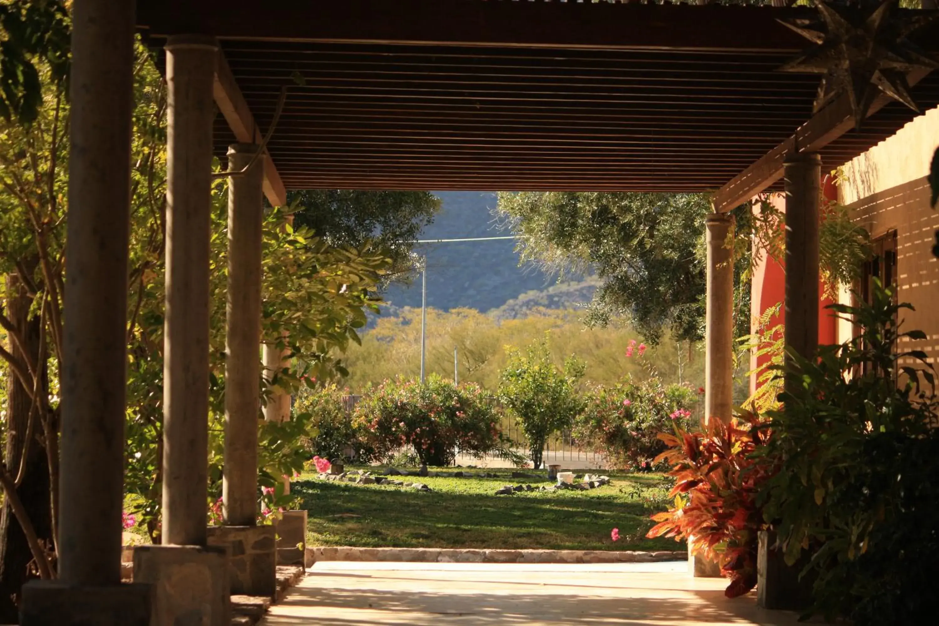 Garden view in Tripui Hotel