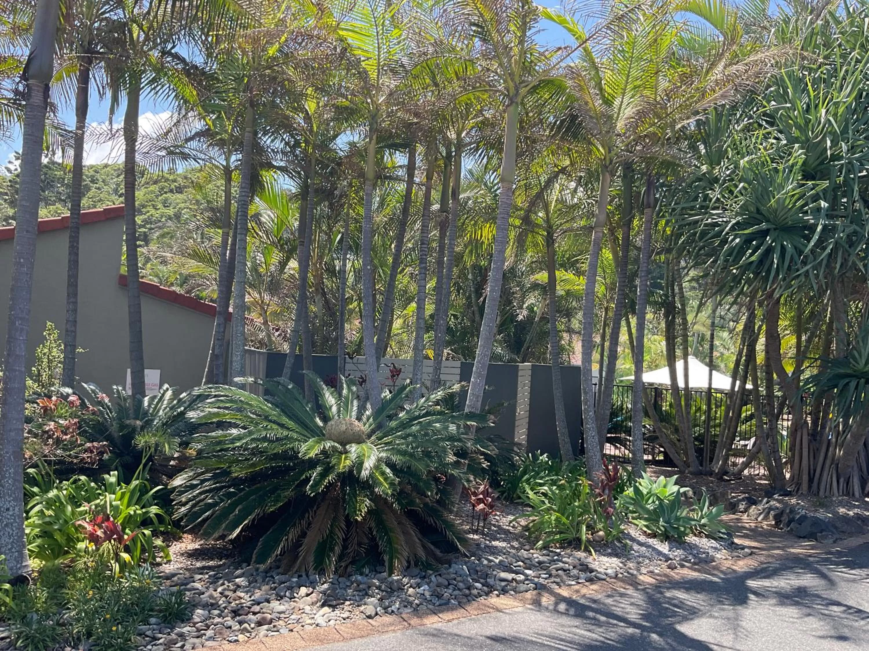 Property Building in Private Suite Nautilus Beach Front Resort