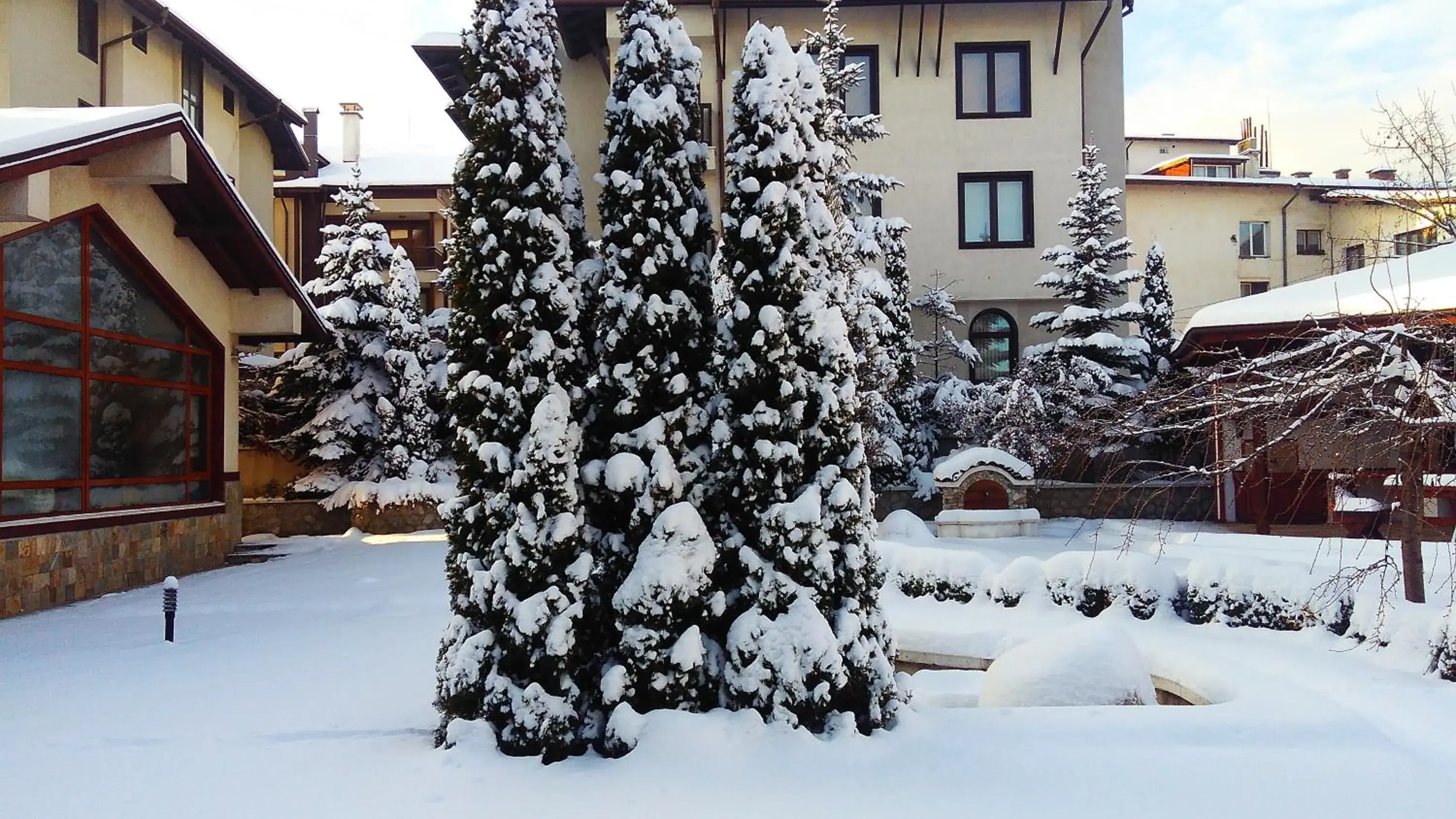 Garden, Winter in Evelina Palace Hotel