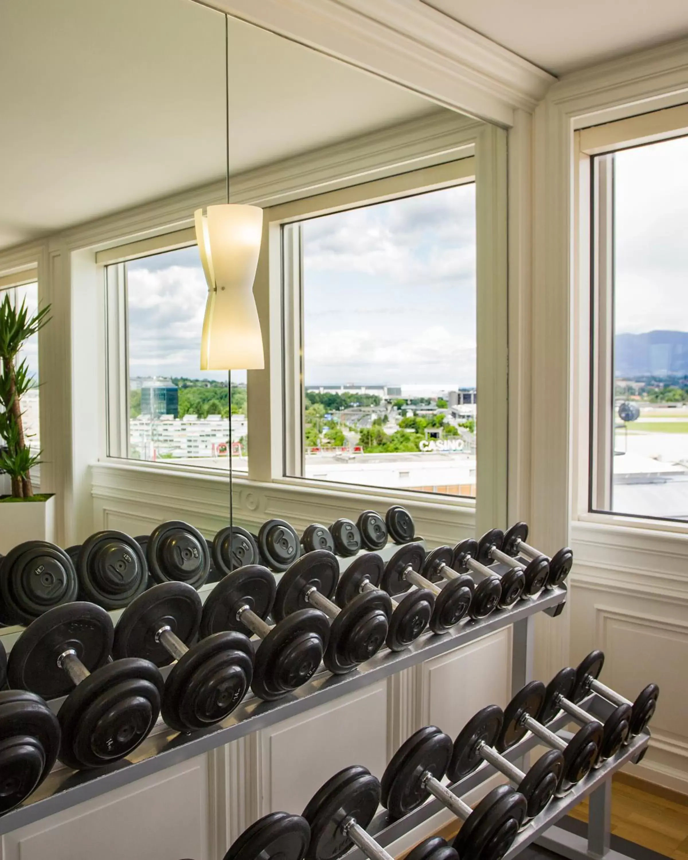 Fitness centre/facilities, Fitness Center/Facilities in Moevenpick Hotel And Casino Geneva