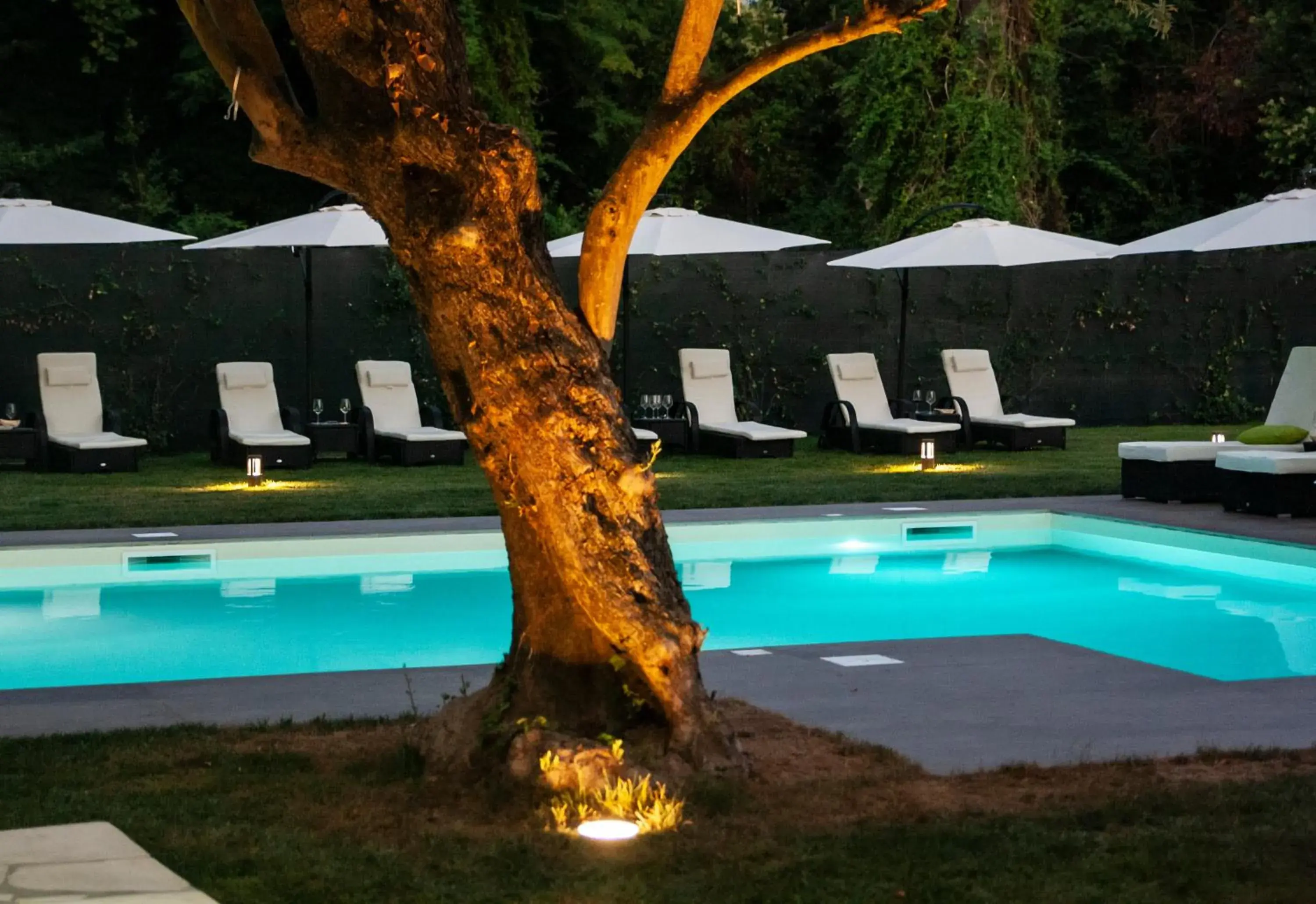 Swimming Pool in Viktoria Palace Hotel