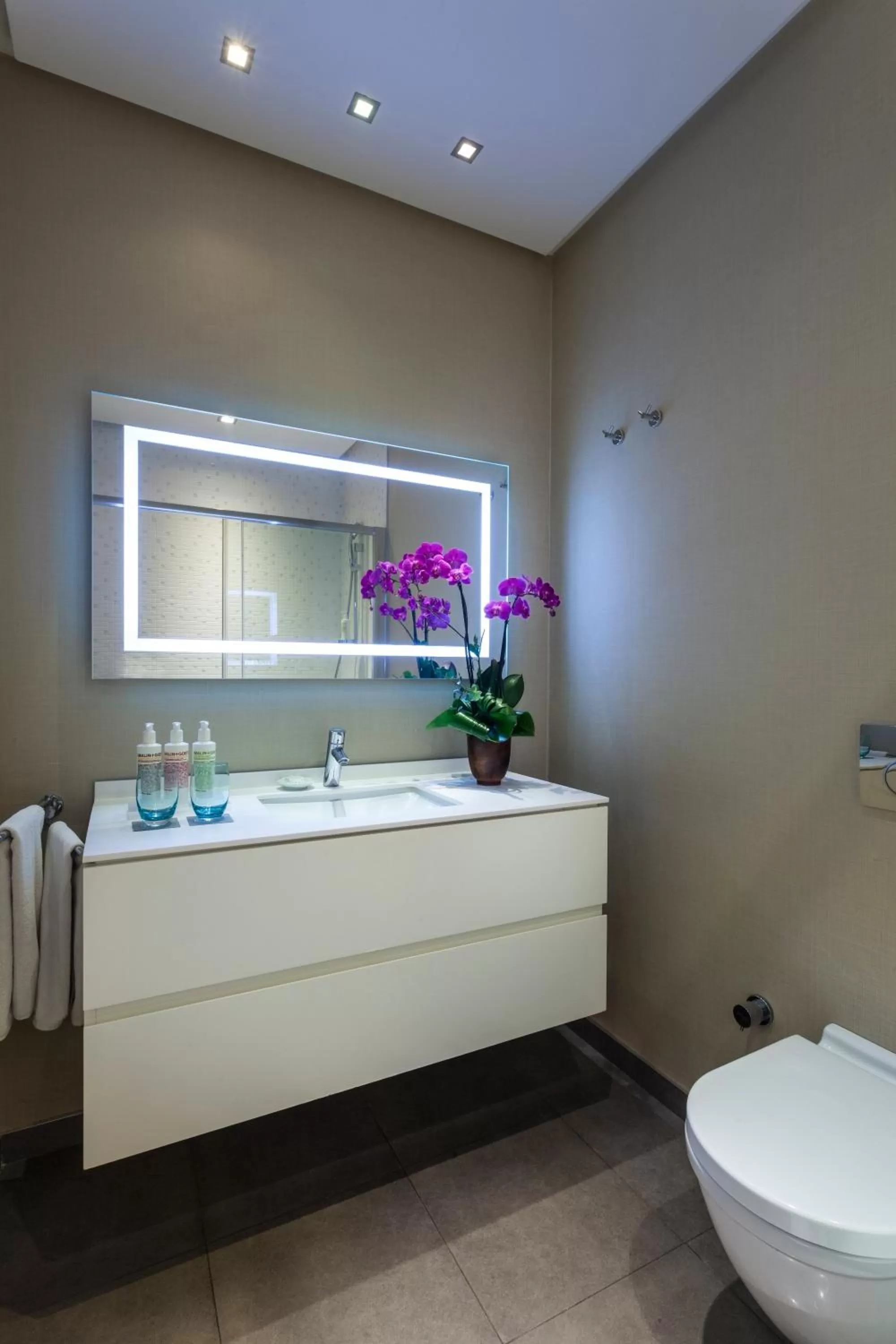 Toilet in Fraser Place Anthill Istanbul