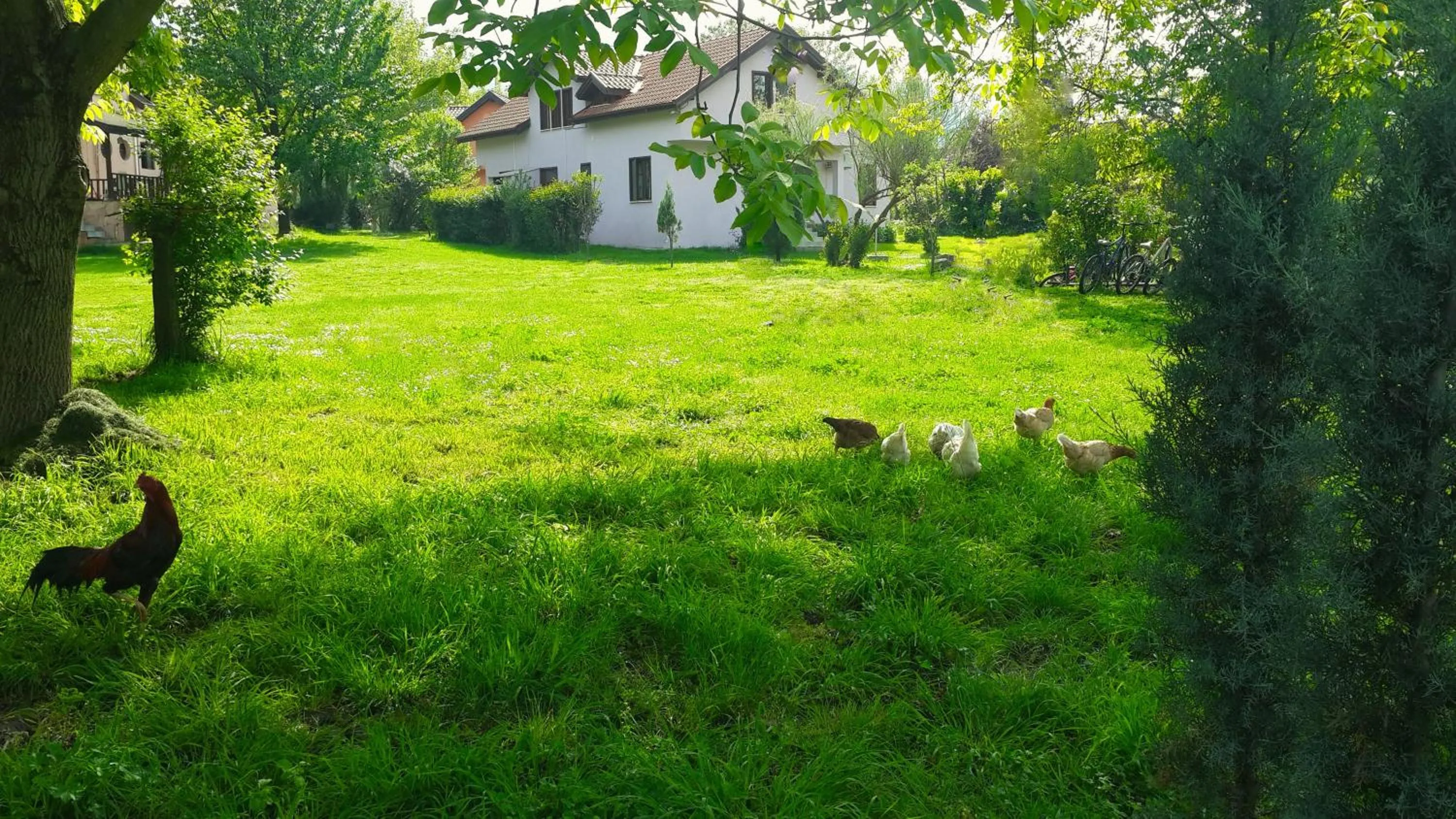 Spring in Villa Kirkpinar Sapanca