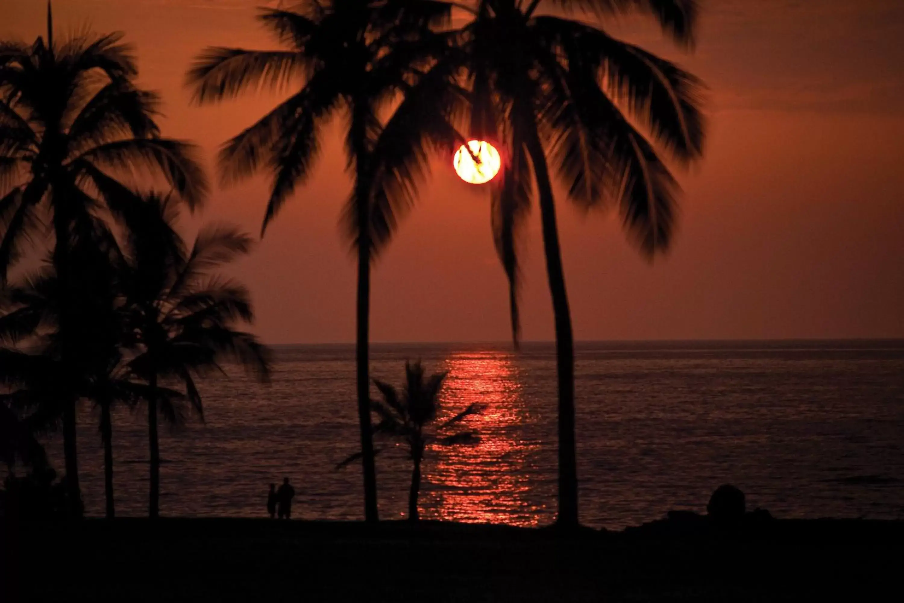 Sea view, Sunrise/Sunset in Kona Coast Resort