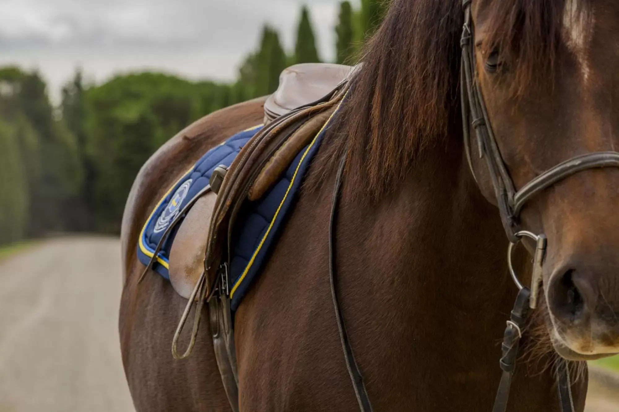 Horse-riding, Horseback Riding in Il Borro Relais & Châteaux