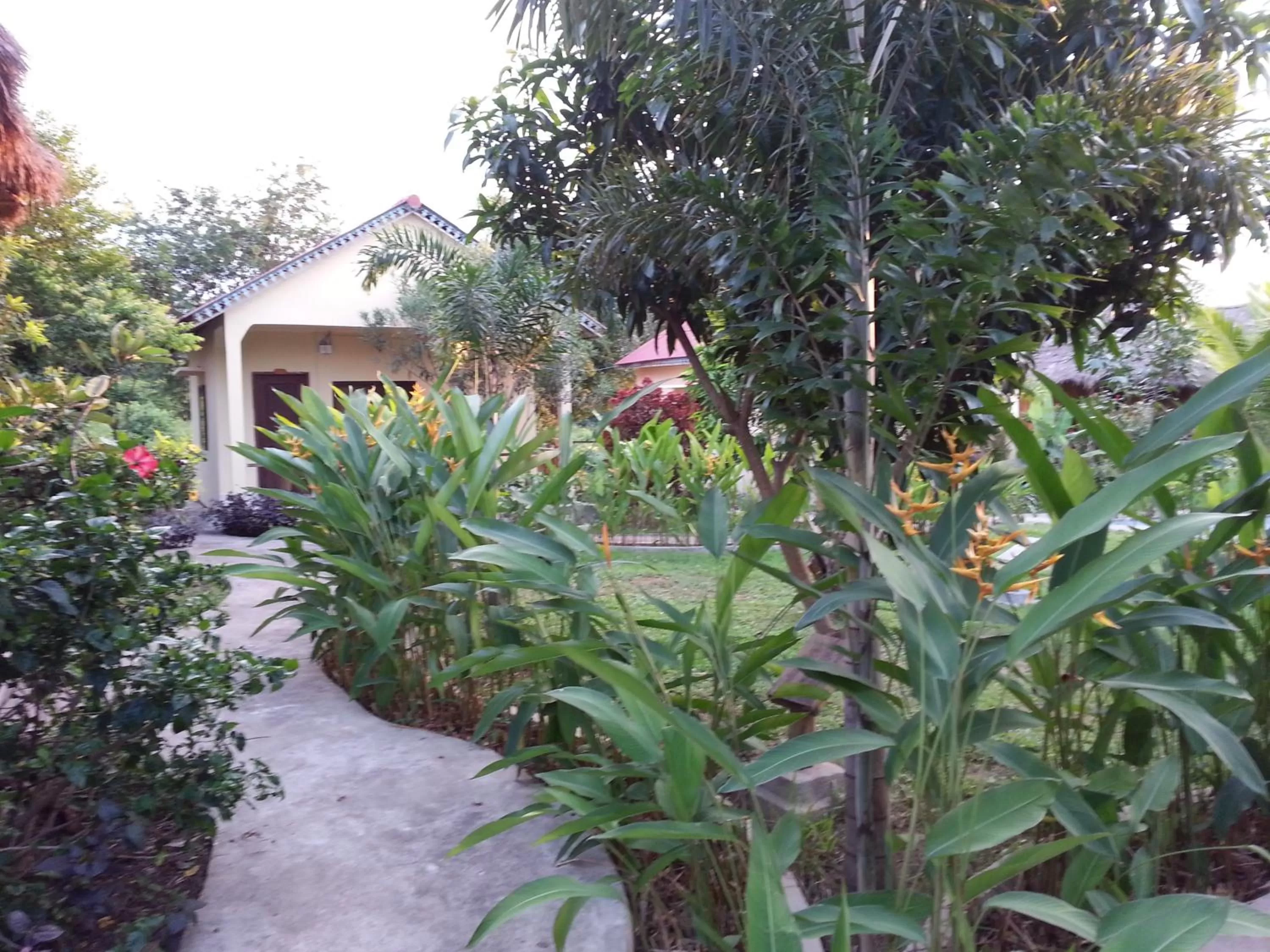 Garden in Bird of Paradise Bungalows