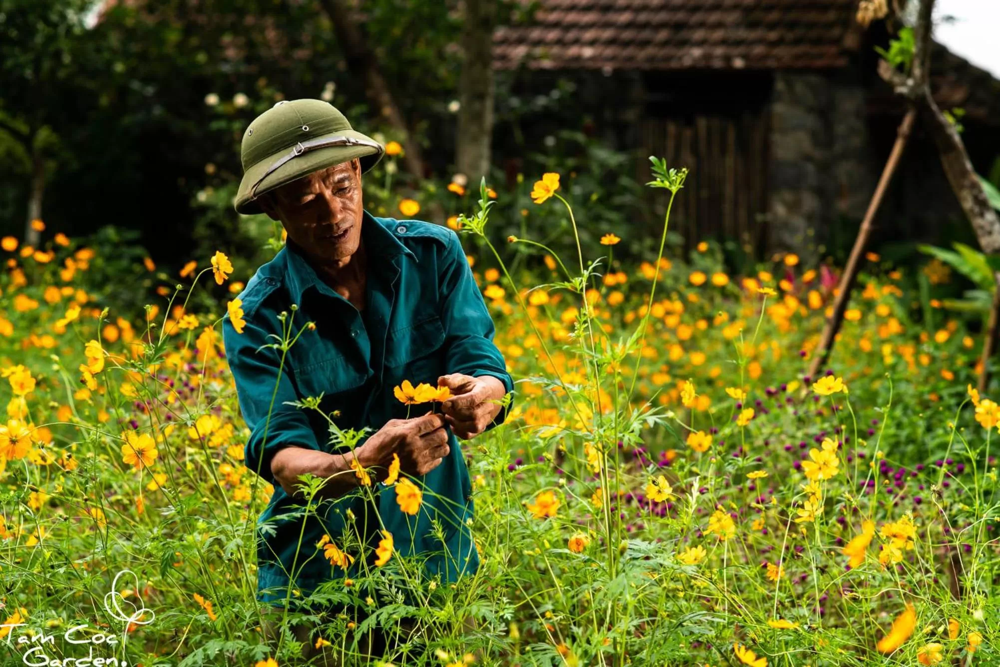 Staff in Tam Coc Garden Resort