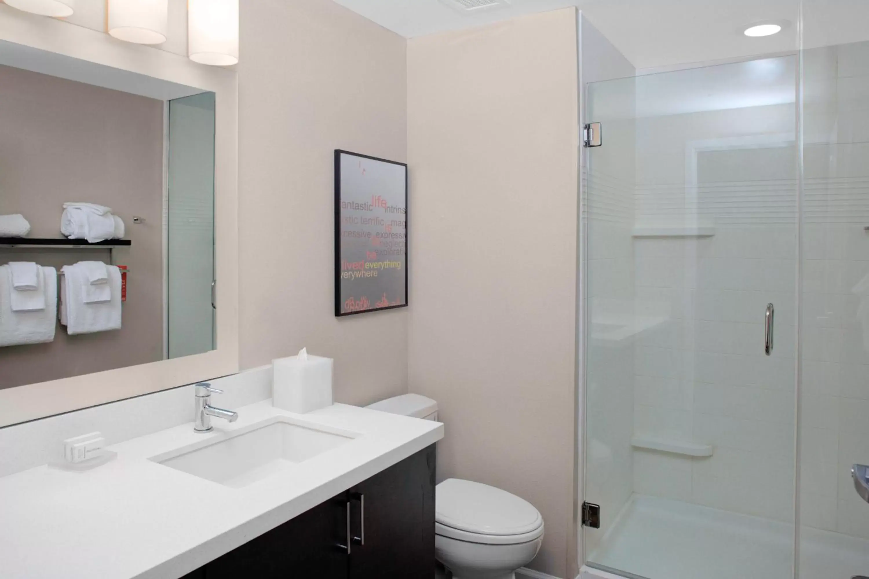 Bathroom in TownePlace Suites by Marriott Albany