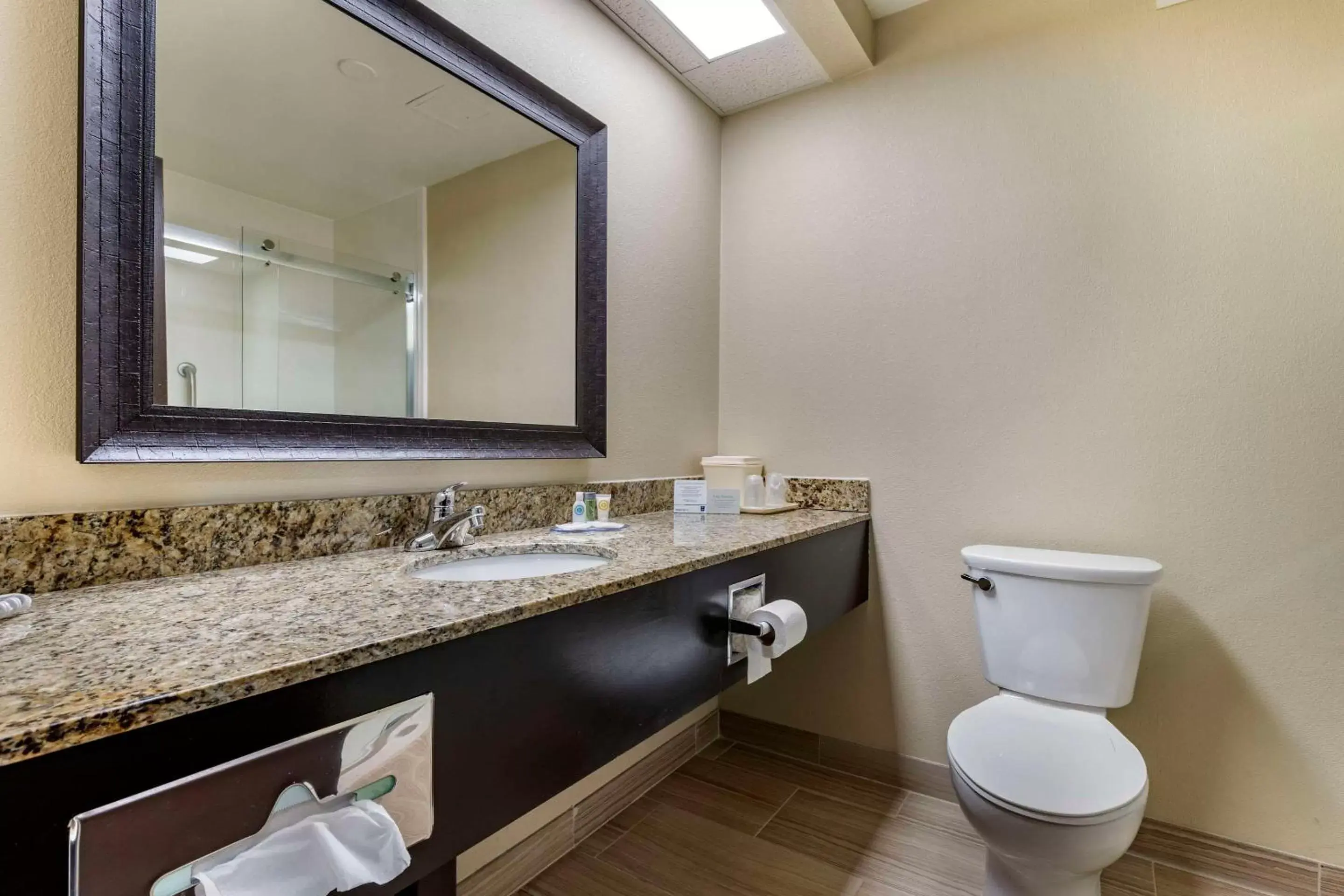 King Room - Non-Smoking in Comfort Inn near Downtown & Blue Ridge PKWY King Room - Non-Smoking in Comfort Inn near Downtown & Blue Ridge PKWY