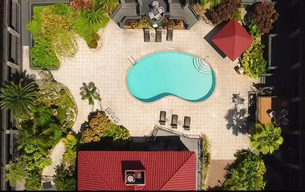Bird's eye view, Pool View in Red Roof Inn PLUS & Suites Tampa