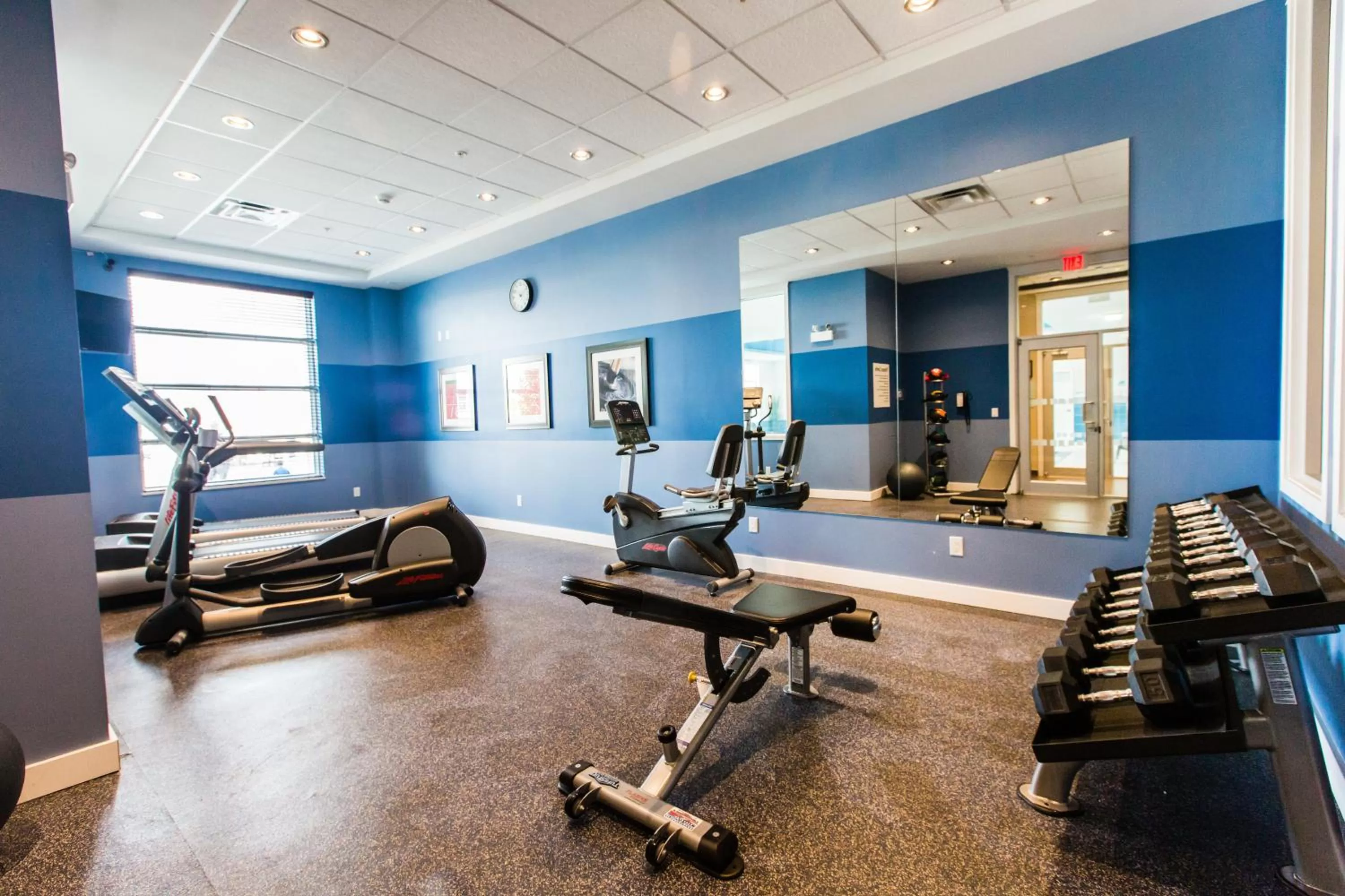 Fitness centre/facilities in Holiday Inn Express & Suites Spruce Grove - Stony Plain by IHG