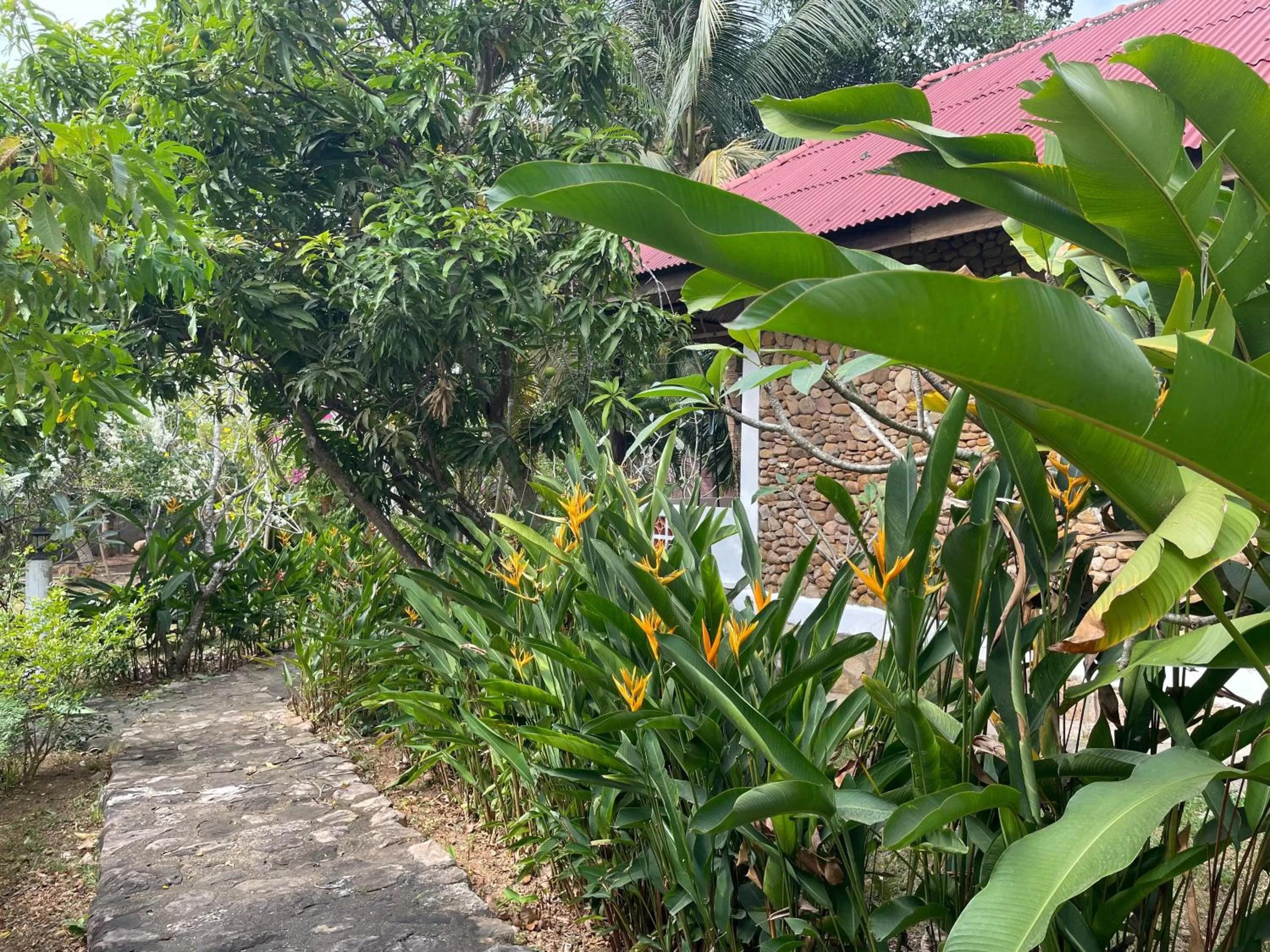 Garden in Kep Lodge