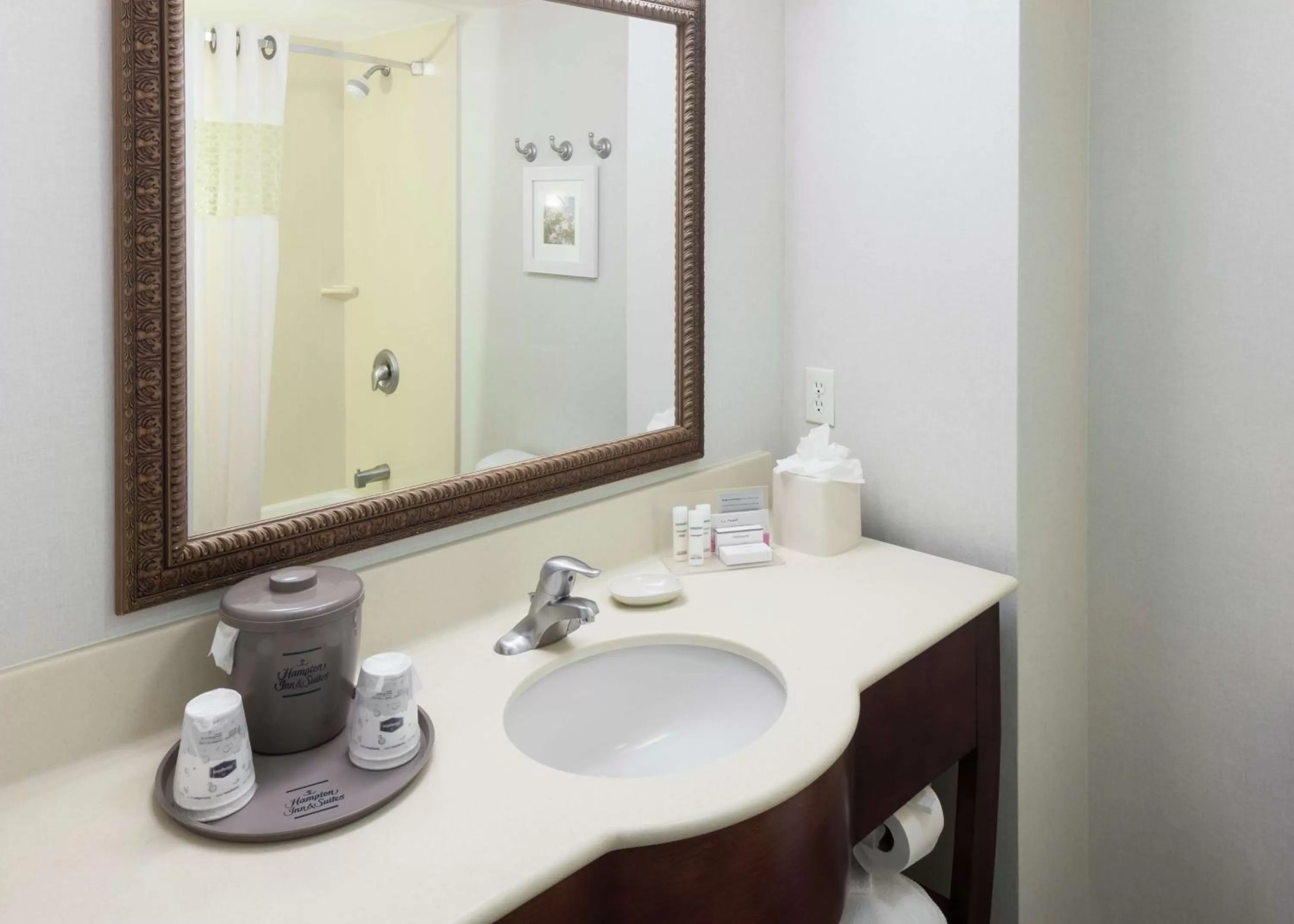 Bathroom in Hampton Inn & Suites Westford-Chelmsford