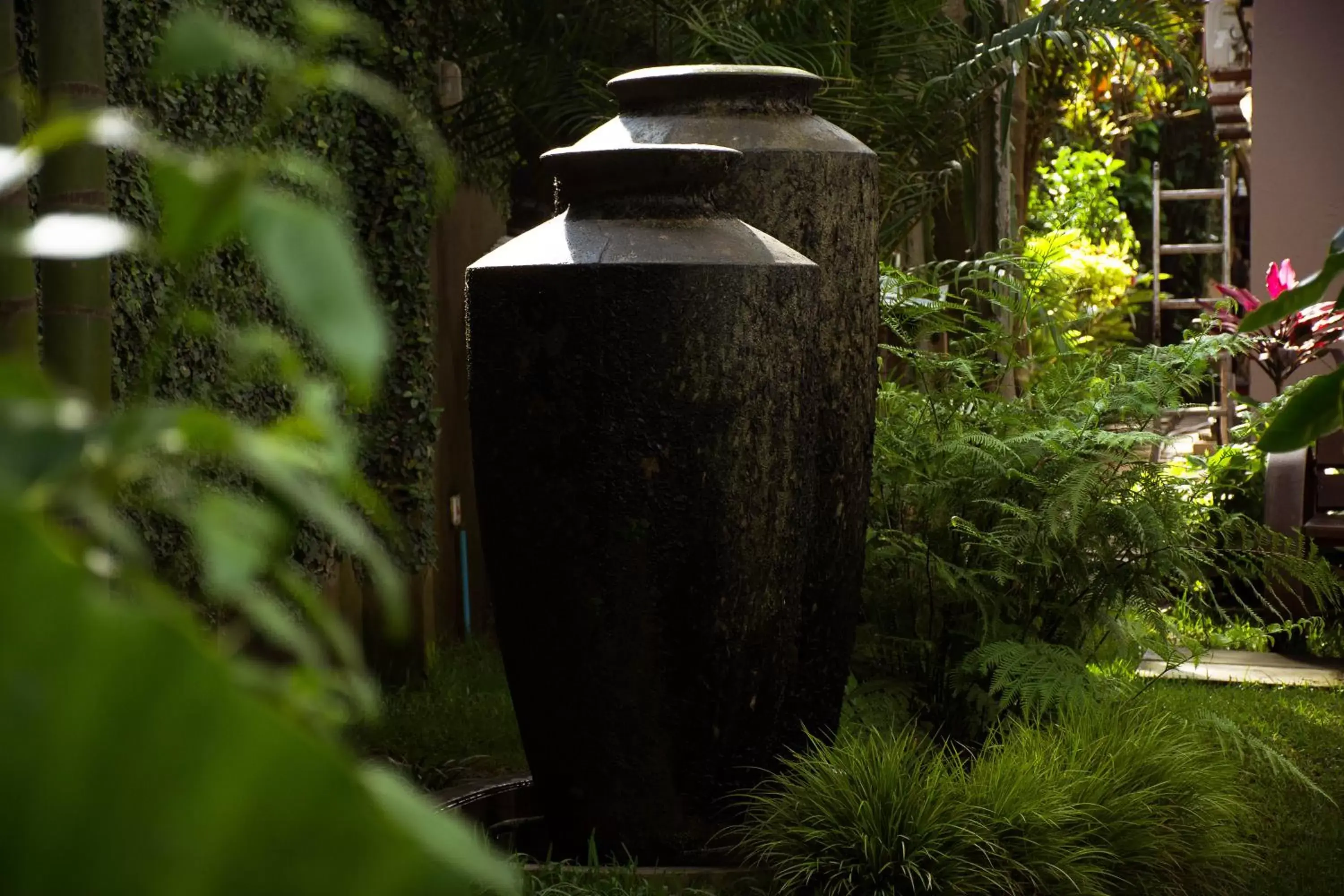 Garden in Zawadi House Lodge