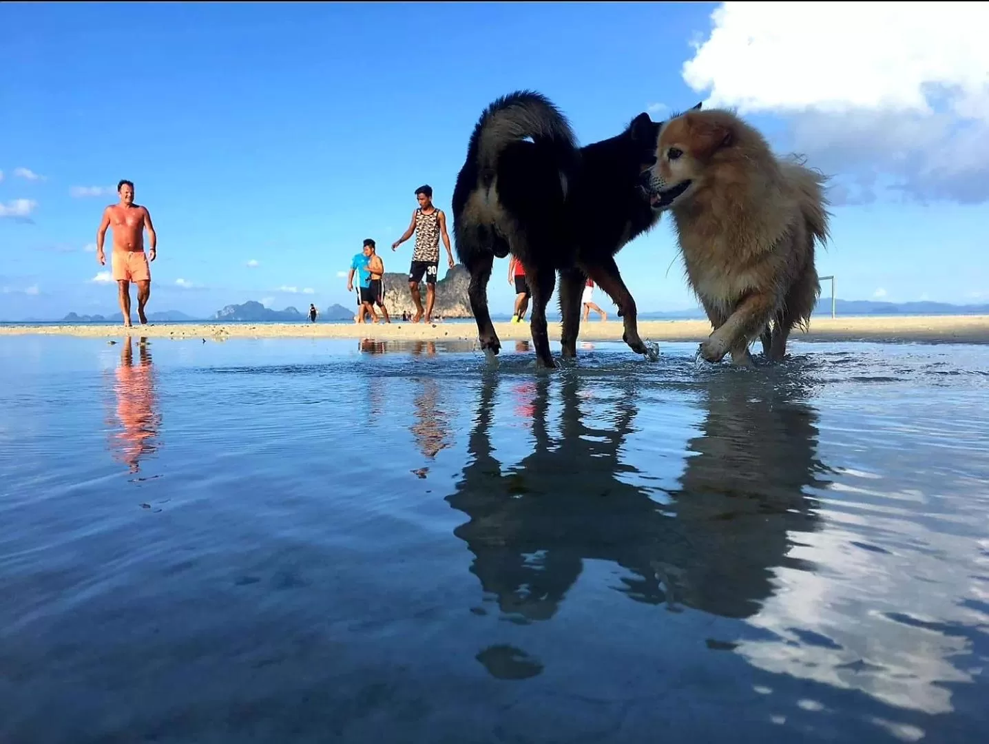 Beach in Thanya Beach Resort - SHA Plus