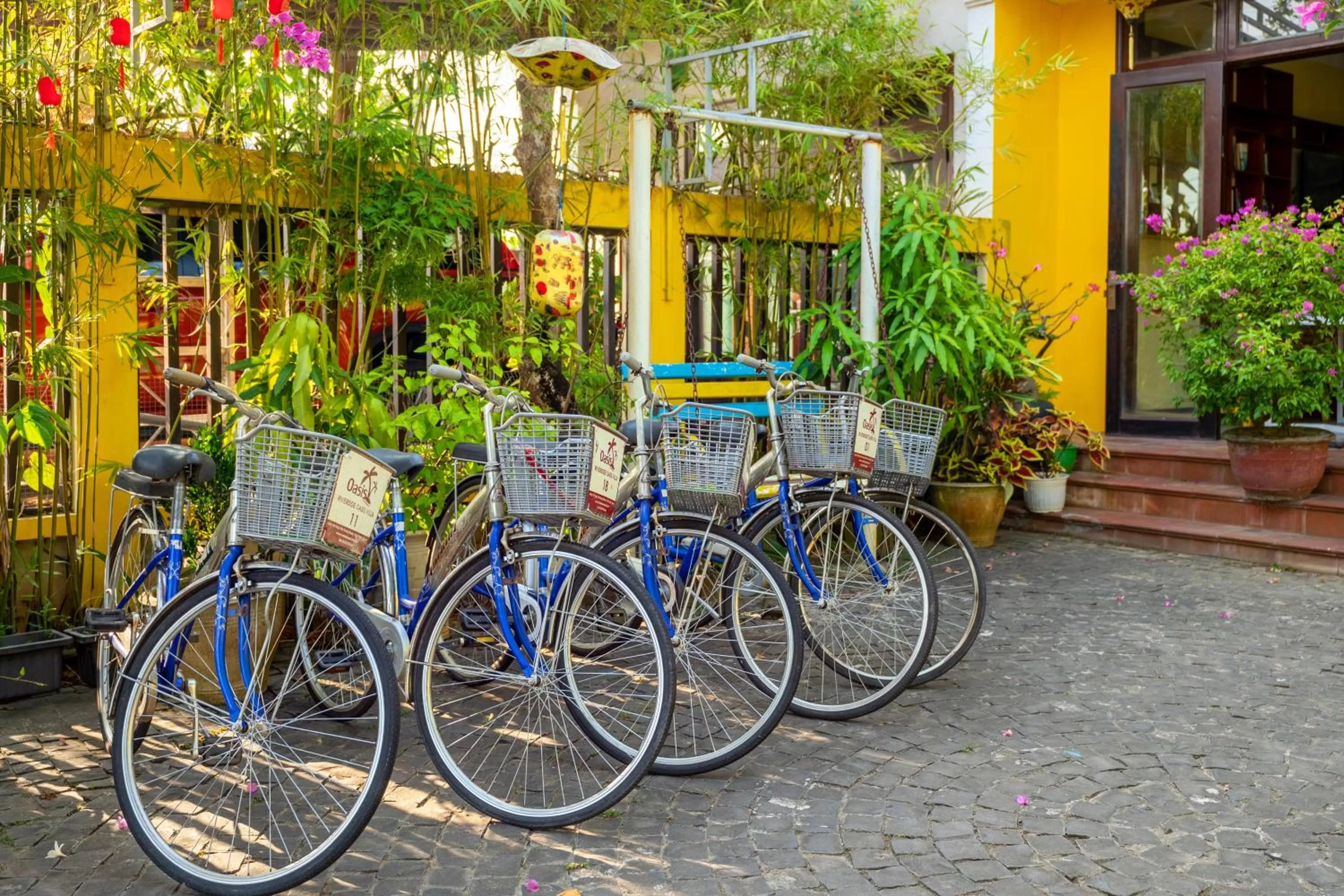 Day in Hoi An Green Riverside Oasis Villa