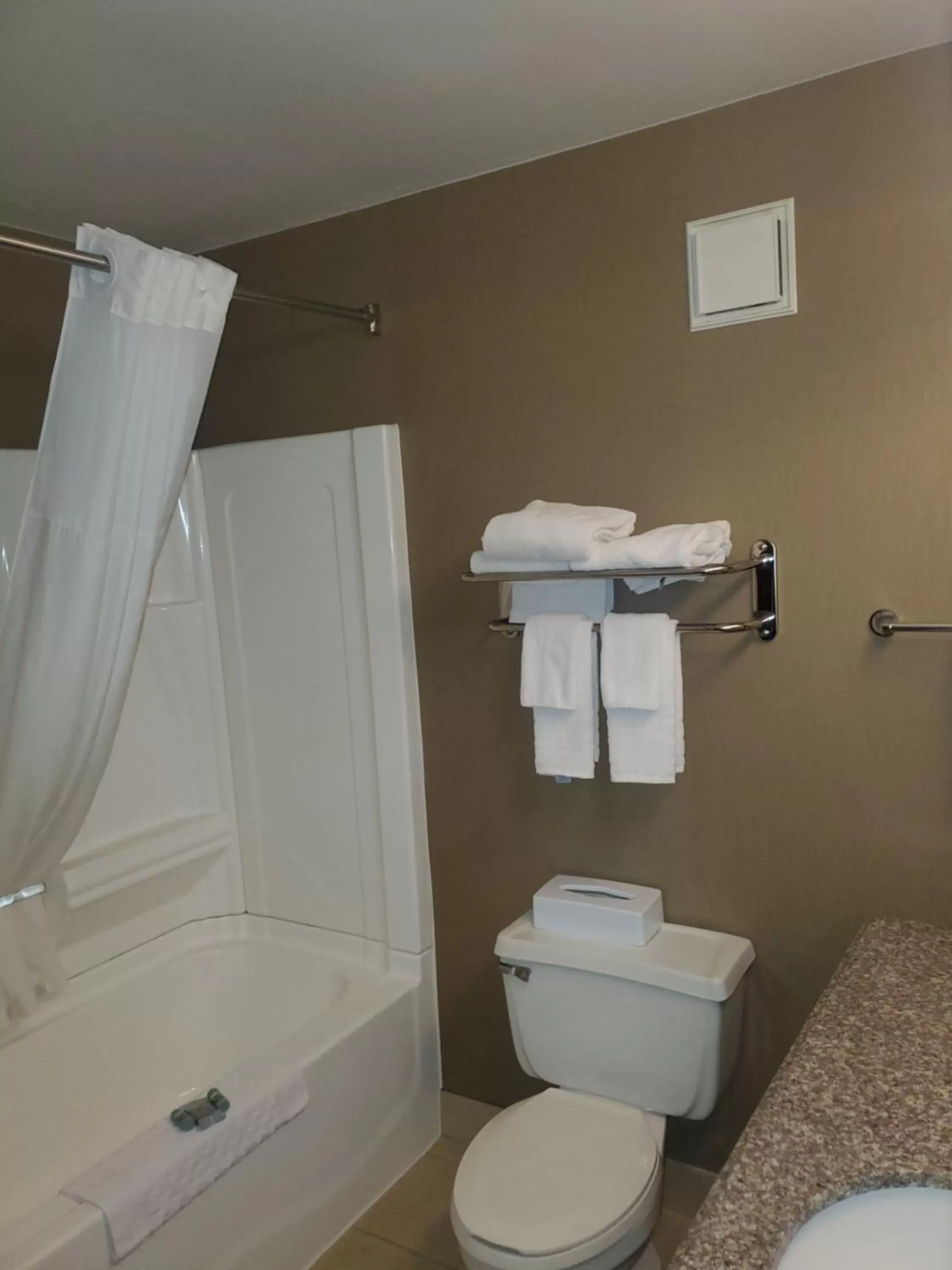 Bathroom in Best Western Maple City Inn