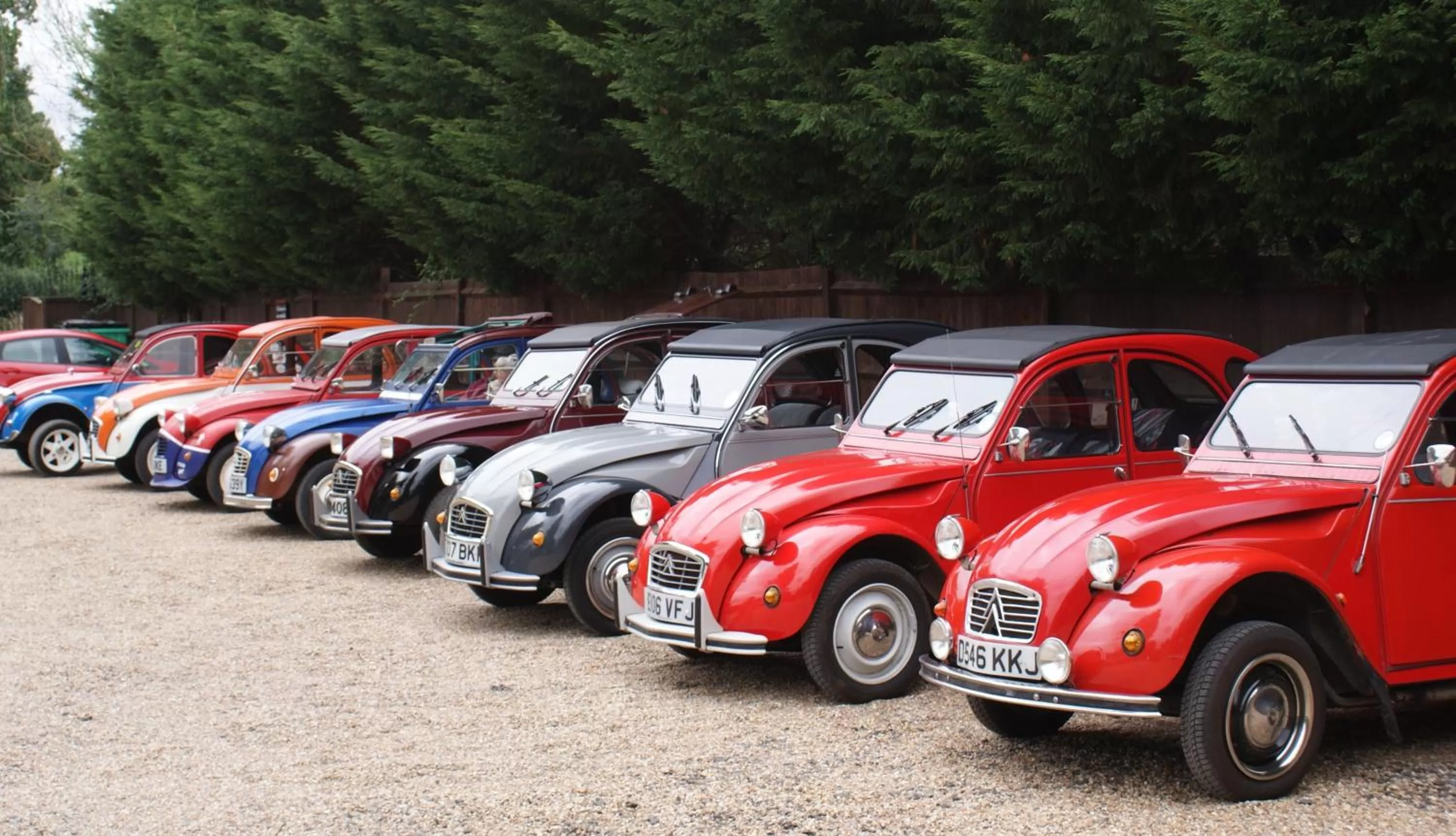 Activities, Guests in The Hawkenbury