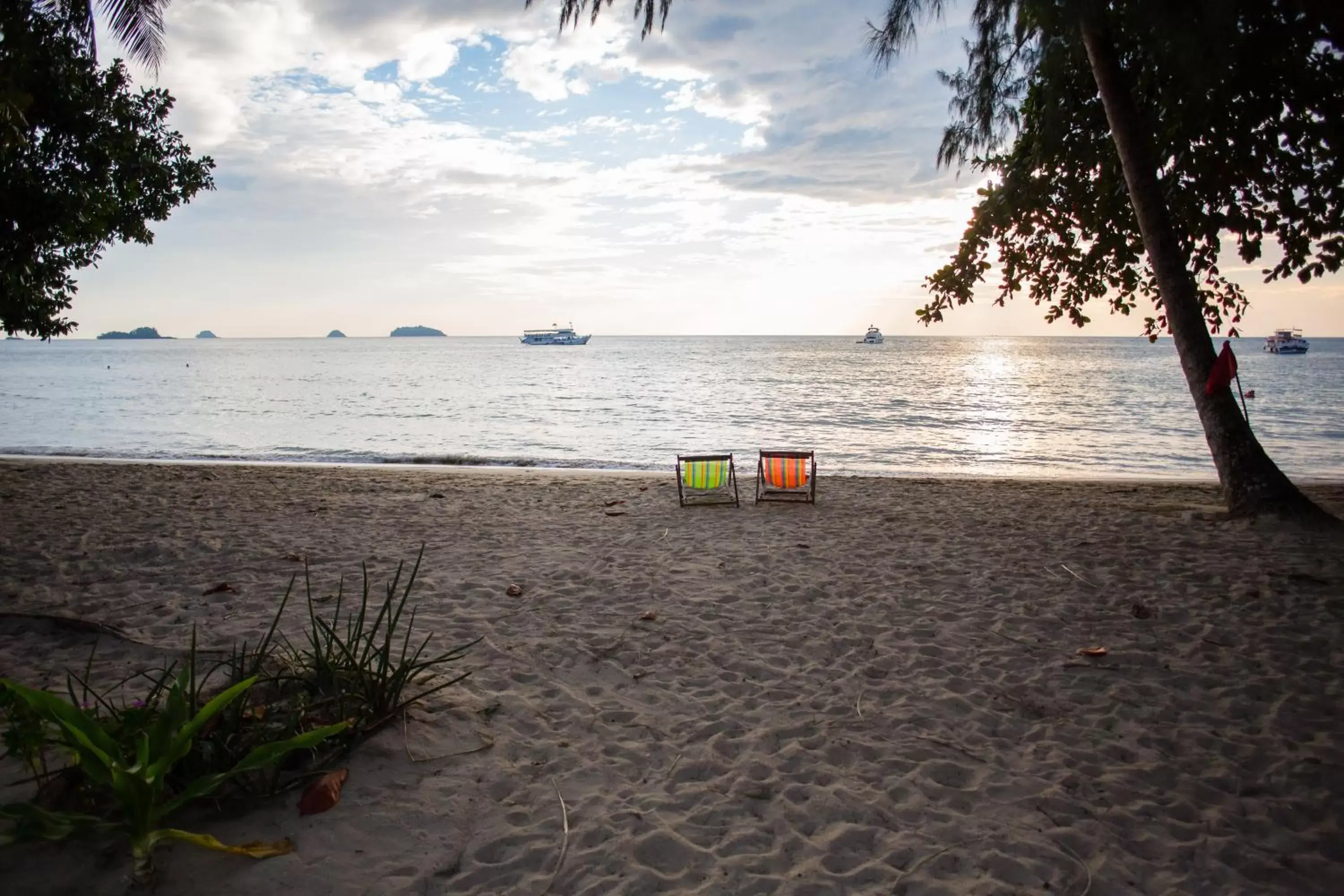 Day, Beach in Flora I Talay