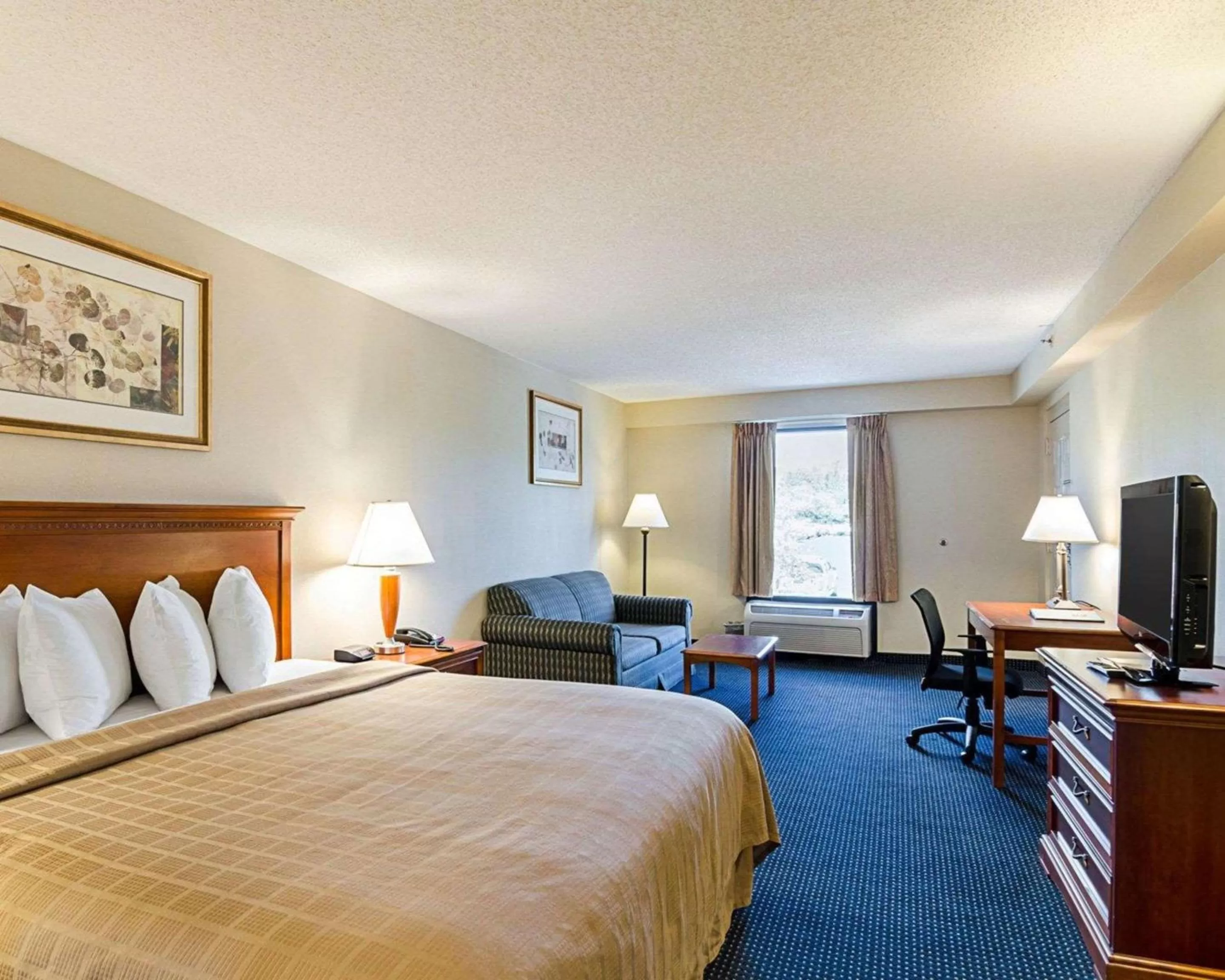 Photo of the whole room, Bed in Quality Inn Troutville - Roanoke North